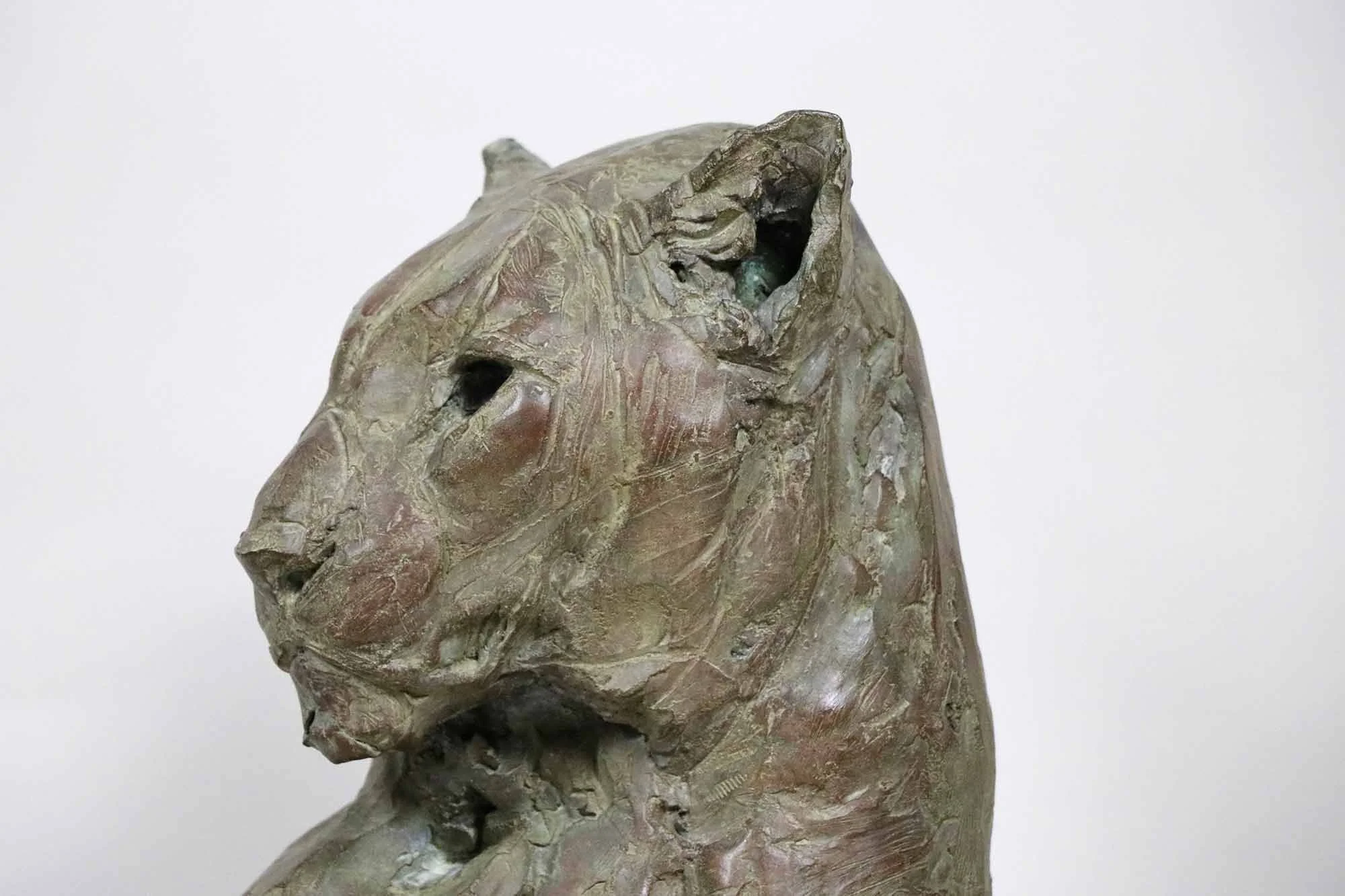 PV-17-006-tete-de-leopard-femelle-III-IMG_0044_web.jpg