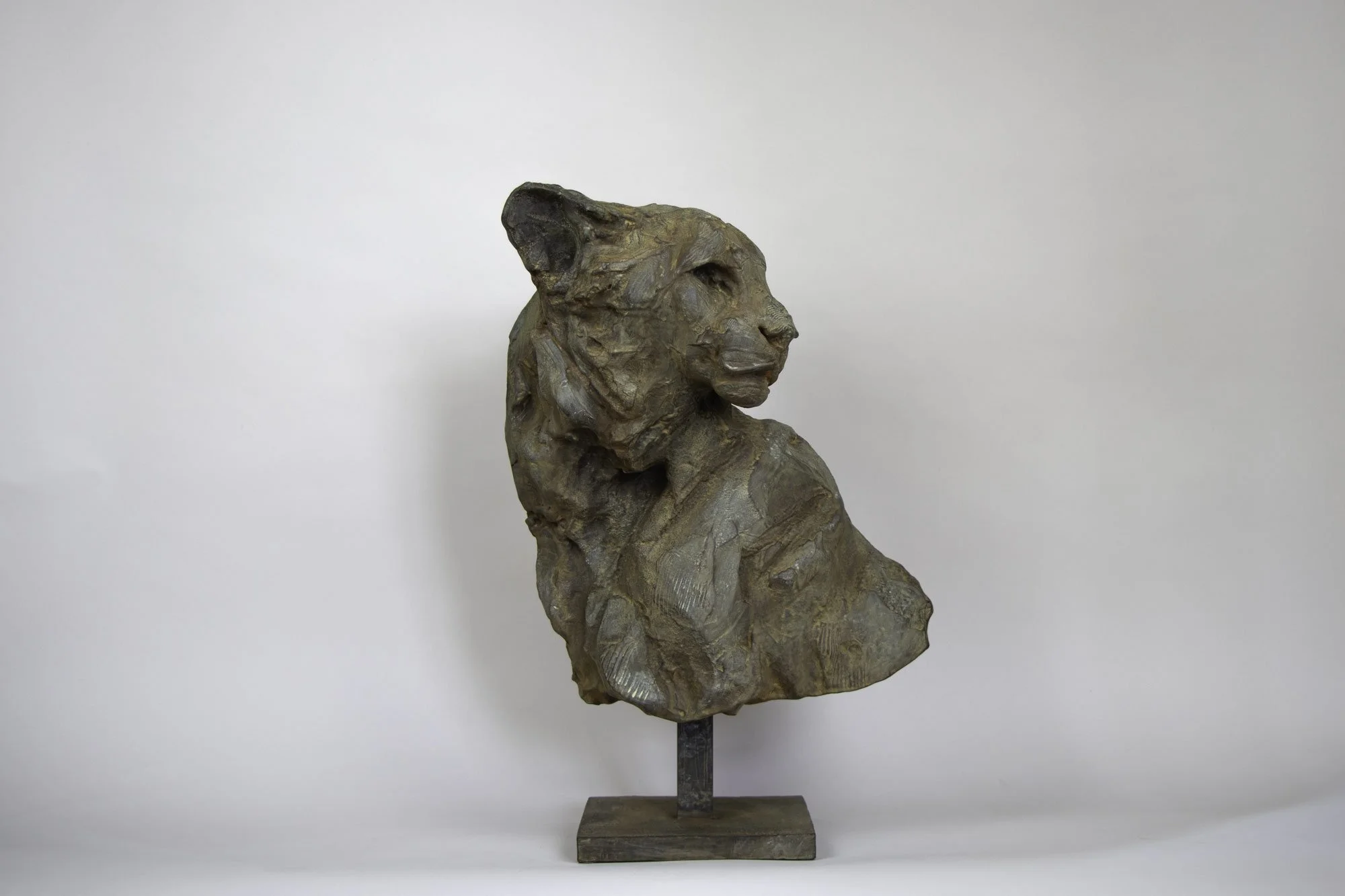 24-001-PV-buste-de-guepard-pat-terre.jpg