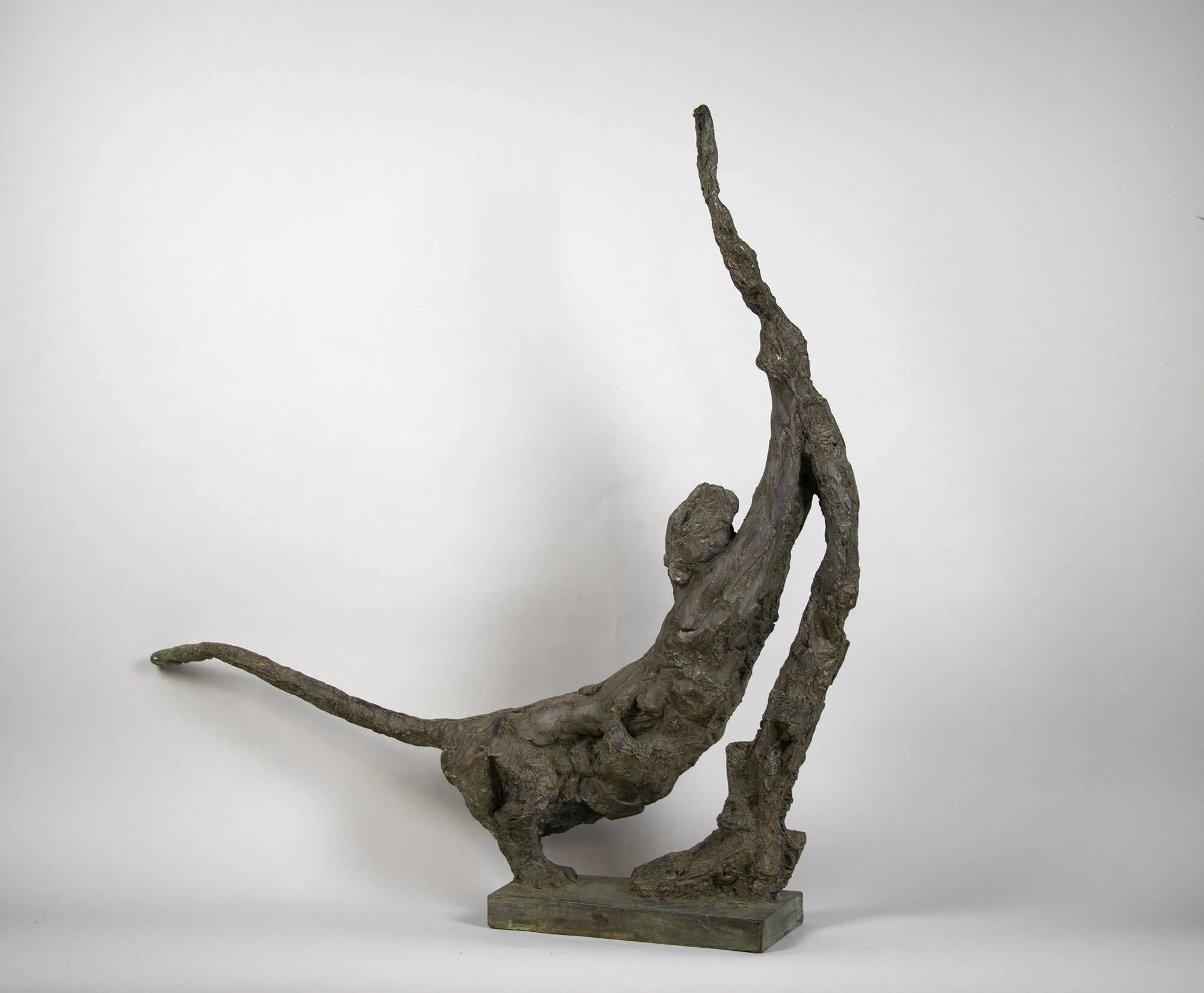 2012009_PV-panthere-etirant-contre-arbre_l1a.jpg