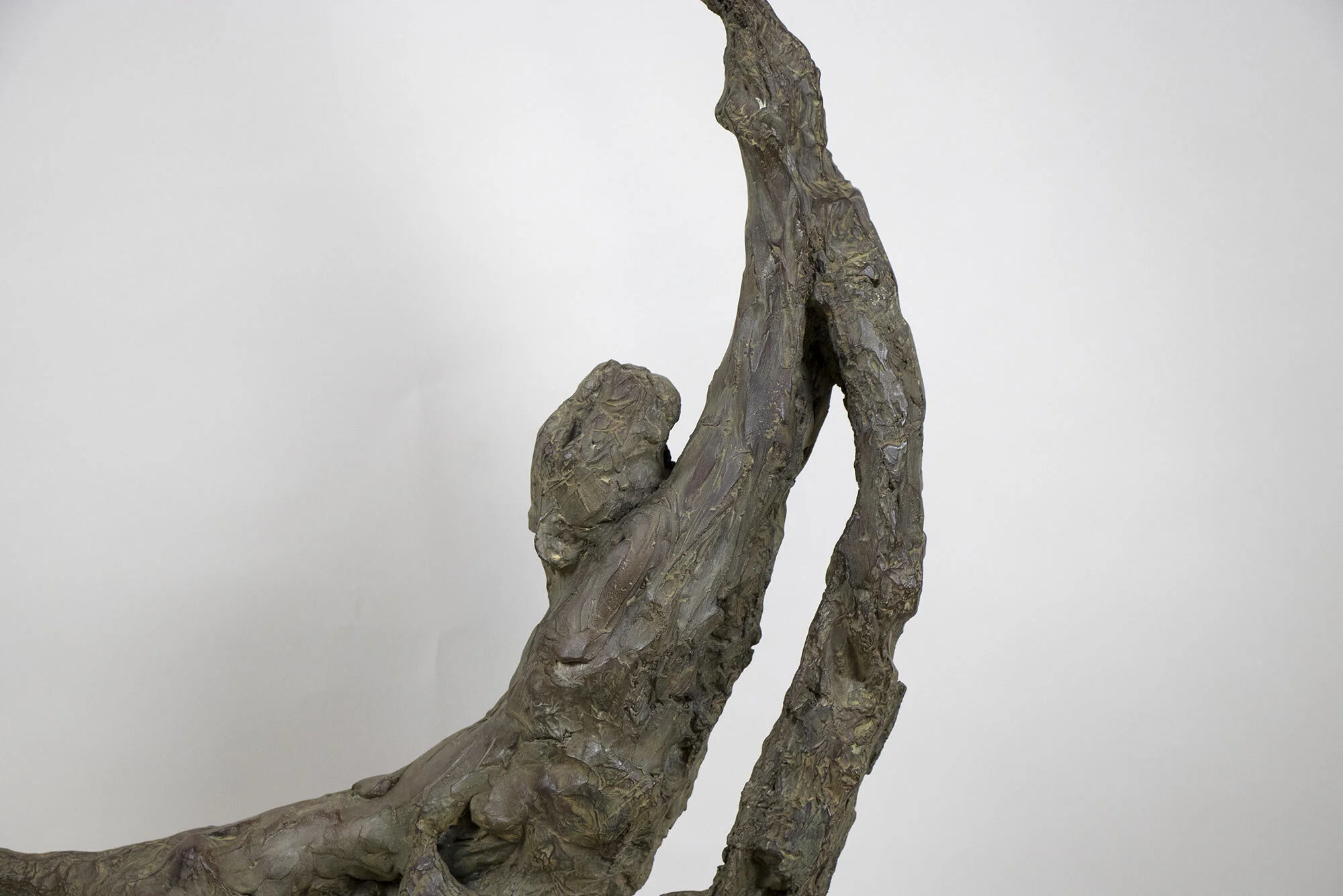 2012009_PV-panthere-etirant-contre-arbre_l1b.jpg