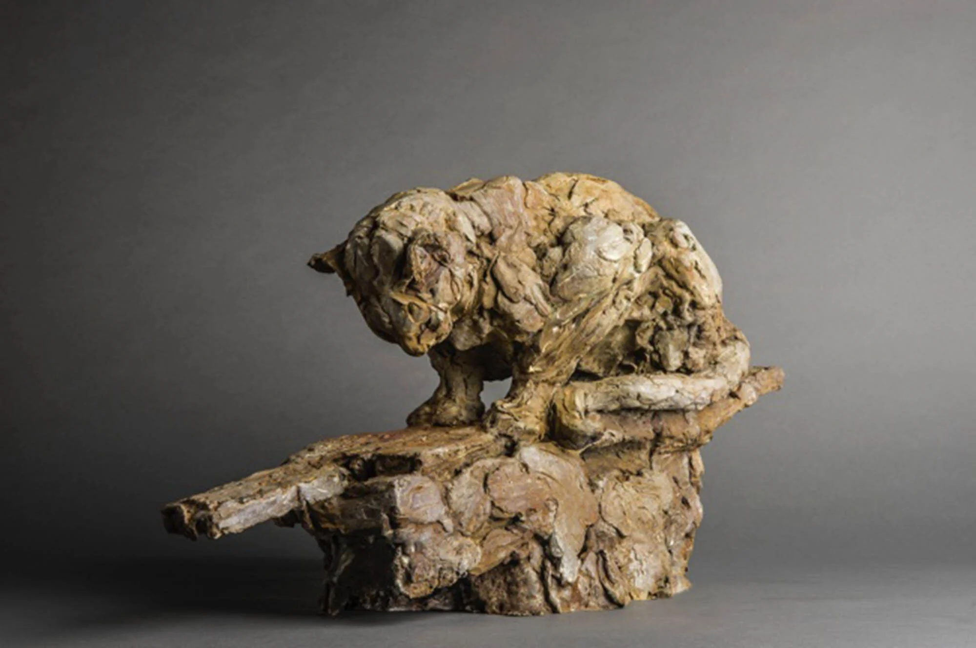2015006_PV_petitepanthererocher_l4.jpg