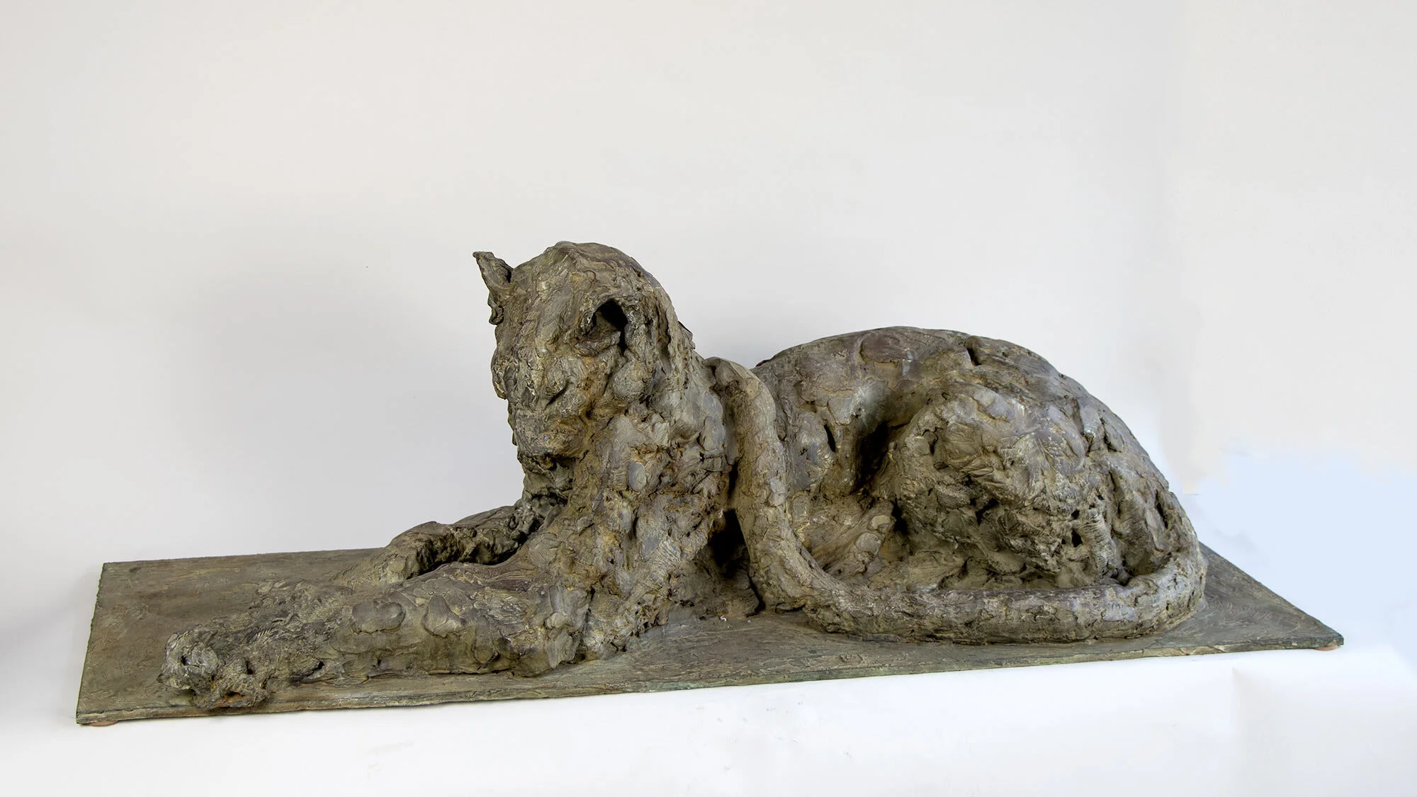 2014_PV_leopardaurepos_l4b3.jpg