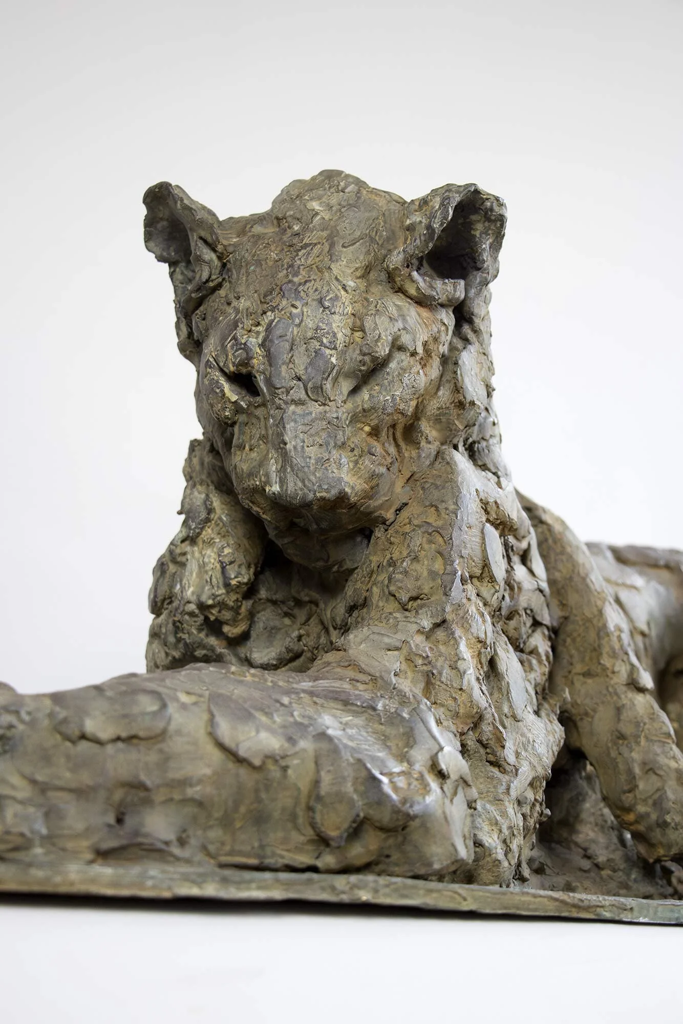 2014_PV_leopardaurepos_l4e3.jpg