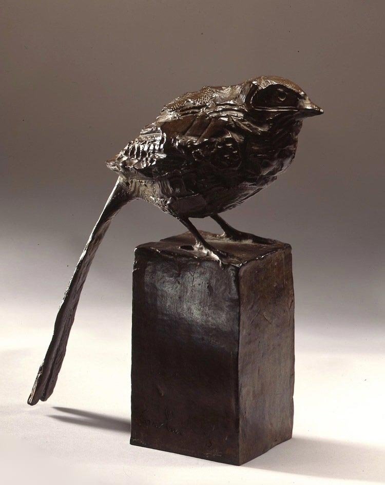 oiseau-rareweb.jpg