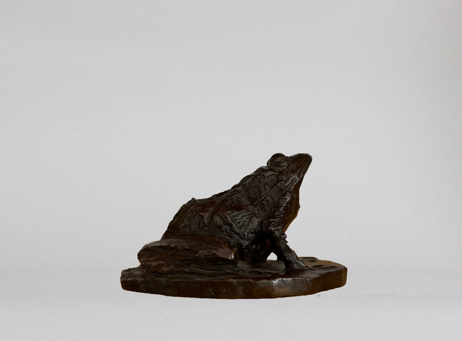 Ccouaill-grenouille-II-IMG_8909.jpg