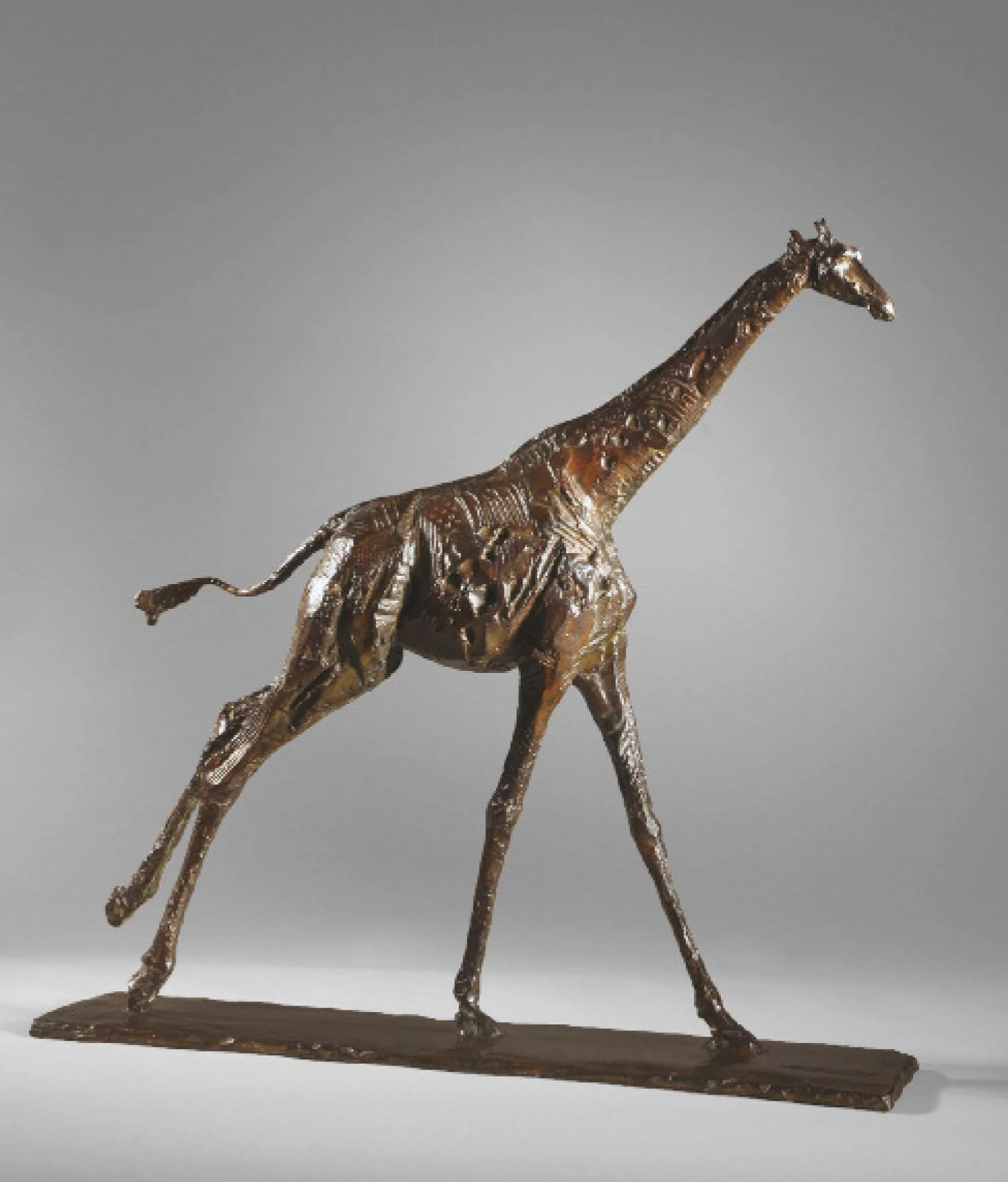 girafeweb.jpg