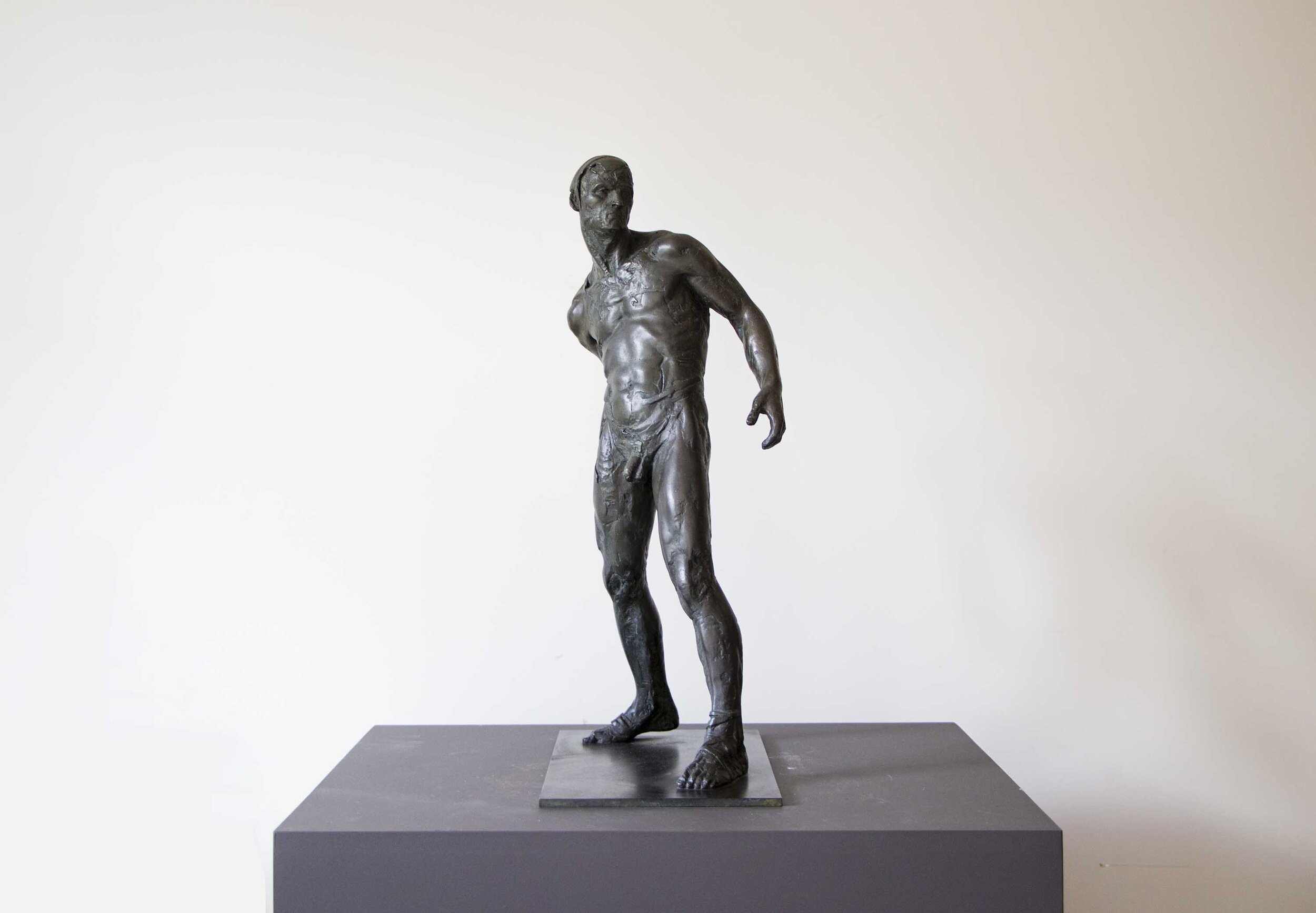 2003 CC Homme à la pierre IMG_2830 Web.jpg