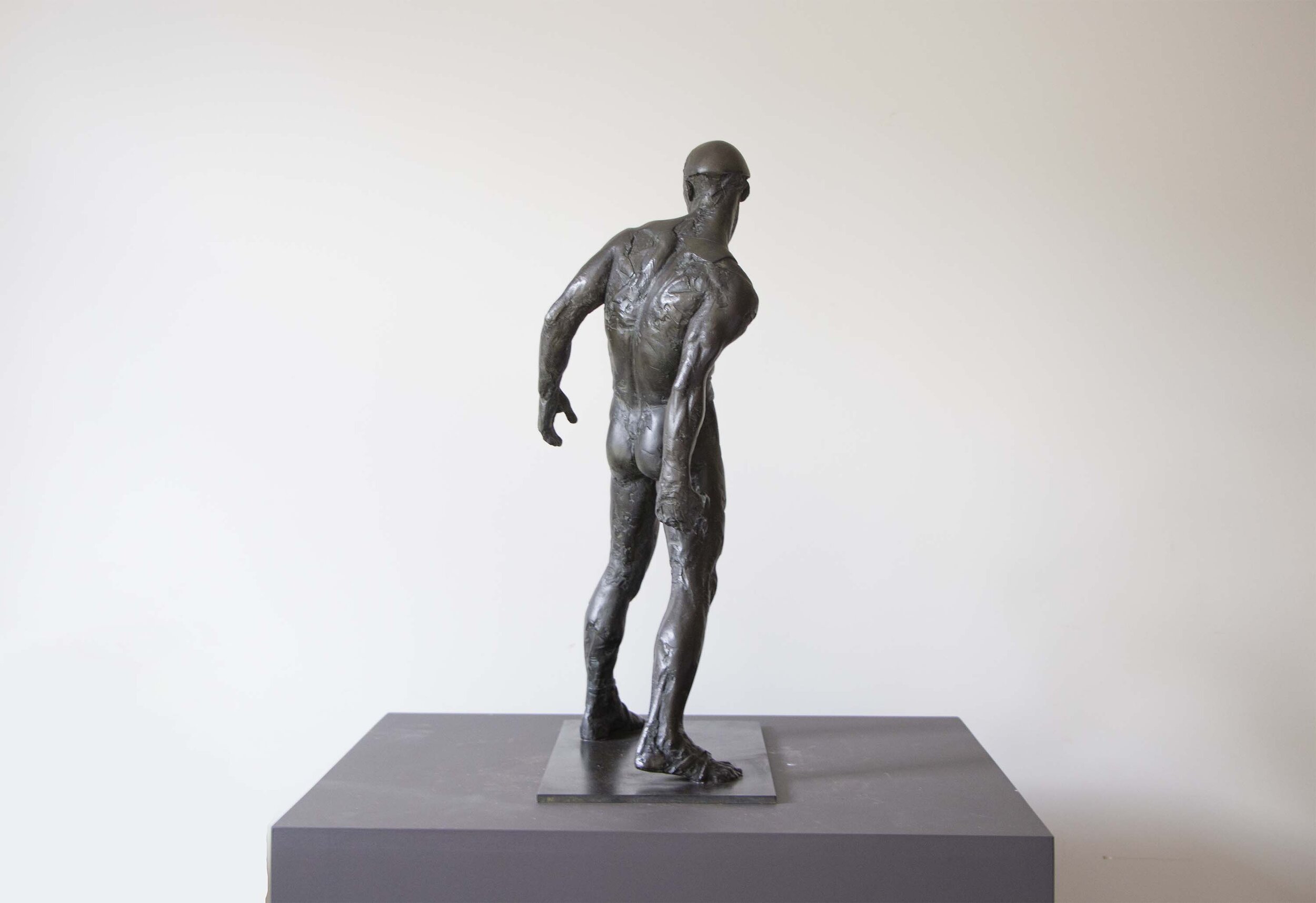 2003 CC Homme à la pierre IMG_2833 Web.jpg