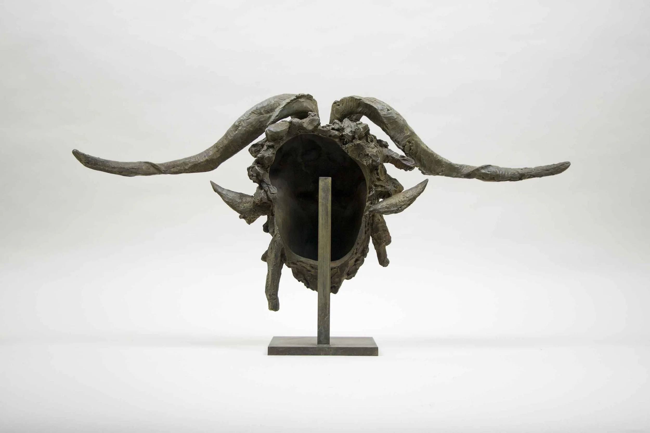 CC Faune I IMG_5570 web.jpg