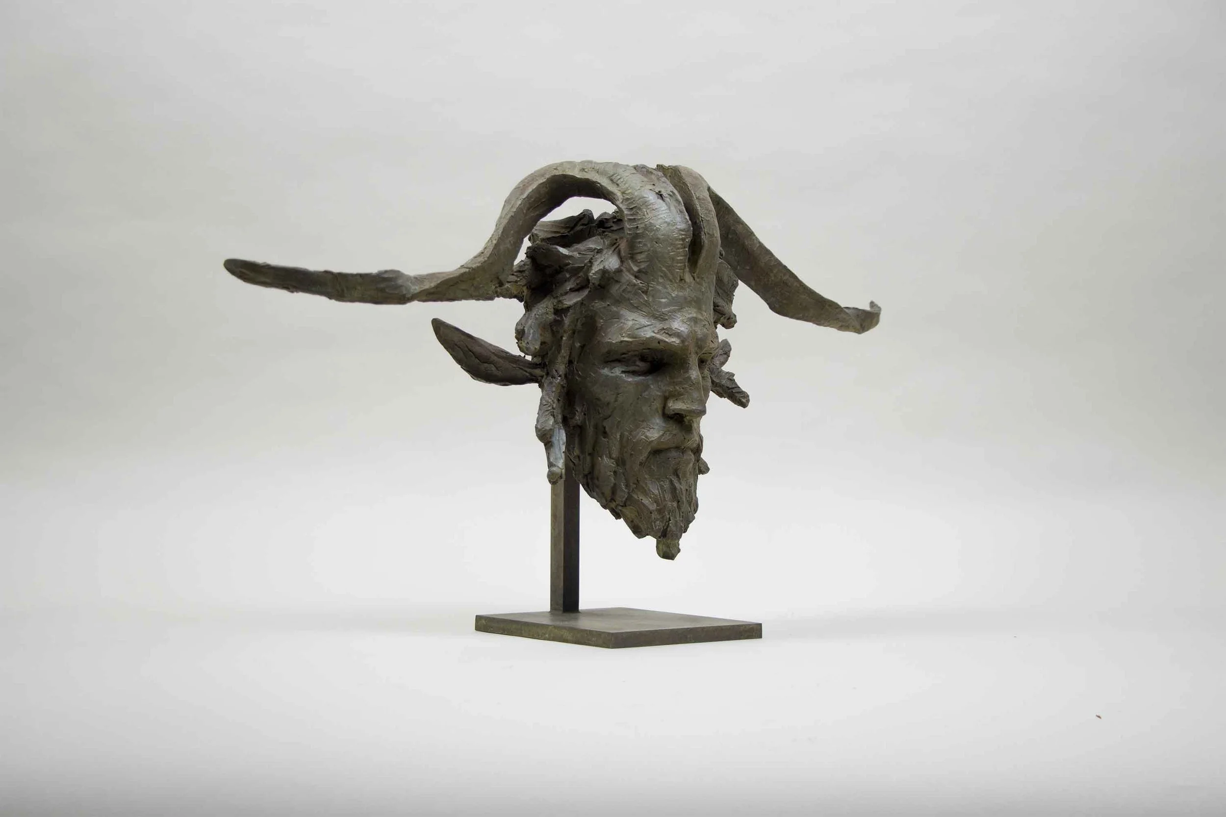 CC Faune I IMG_5572 web.jpg