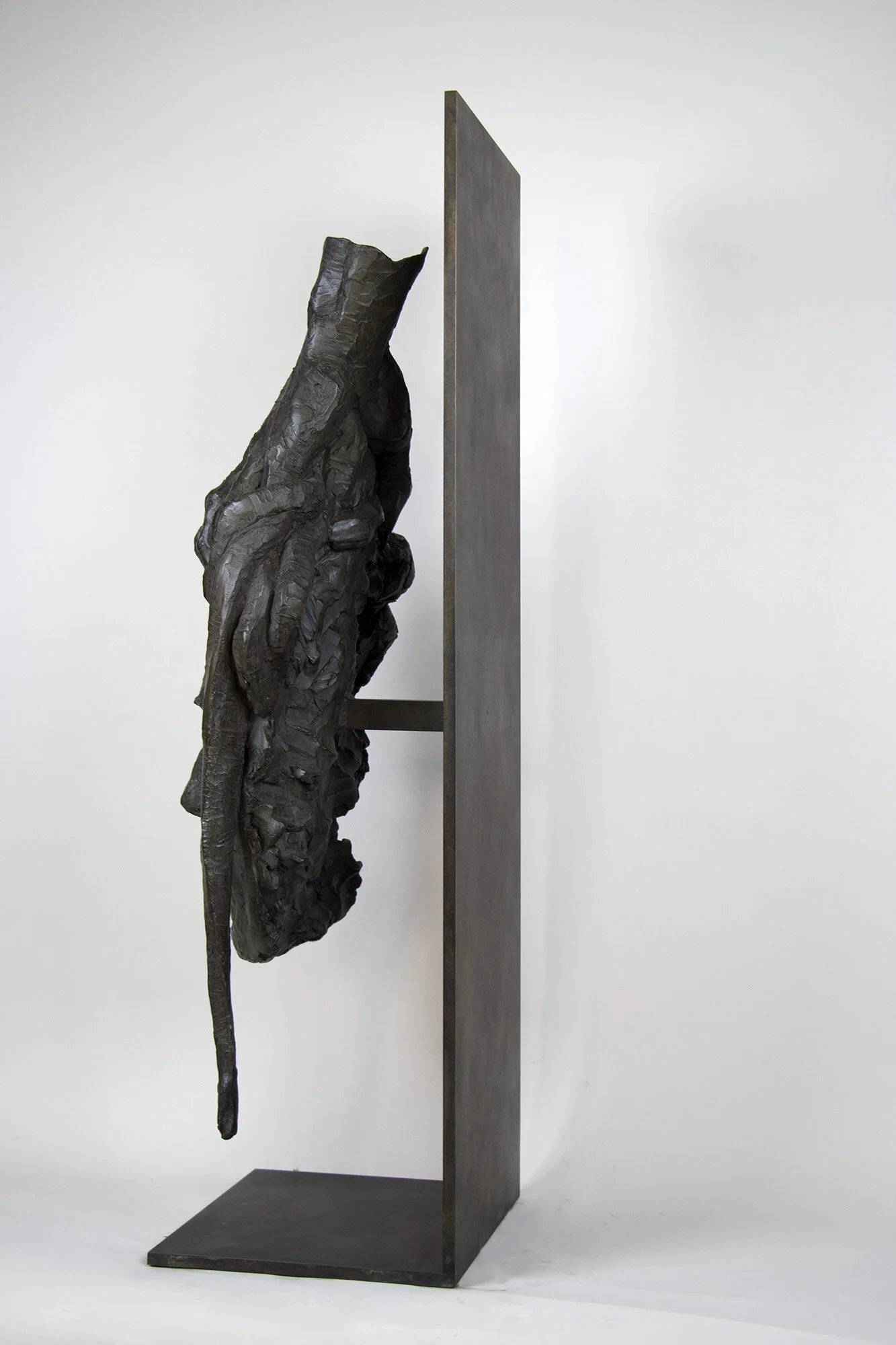 2017_CC-tete-de-meduse_l4b.jpg