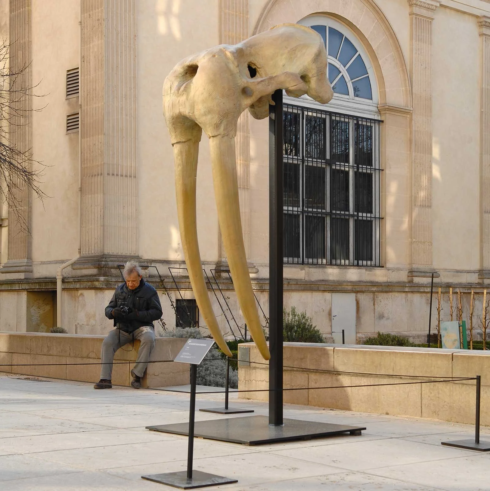 2012_QG_GIGANTODOBENUS,2012,bronze,h320x145x86cm_pdtss.jpg
