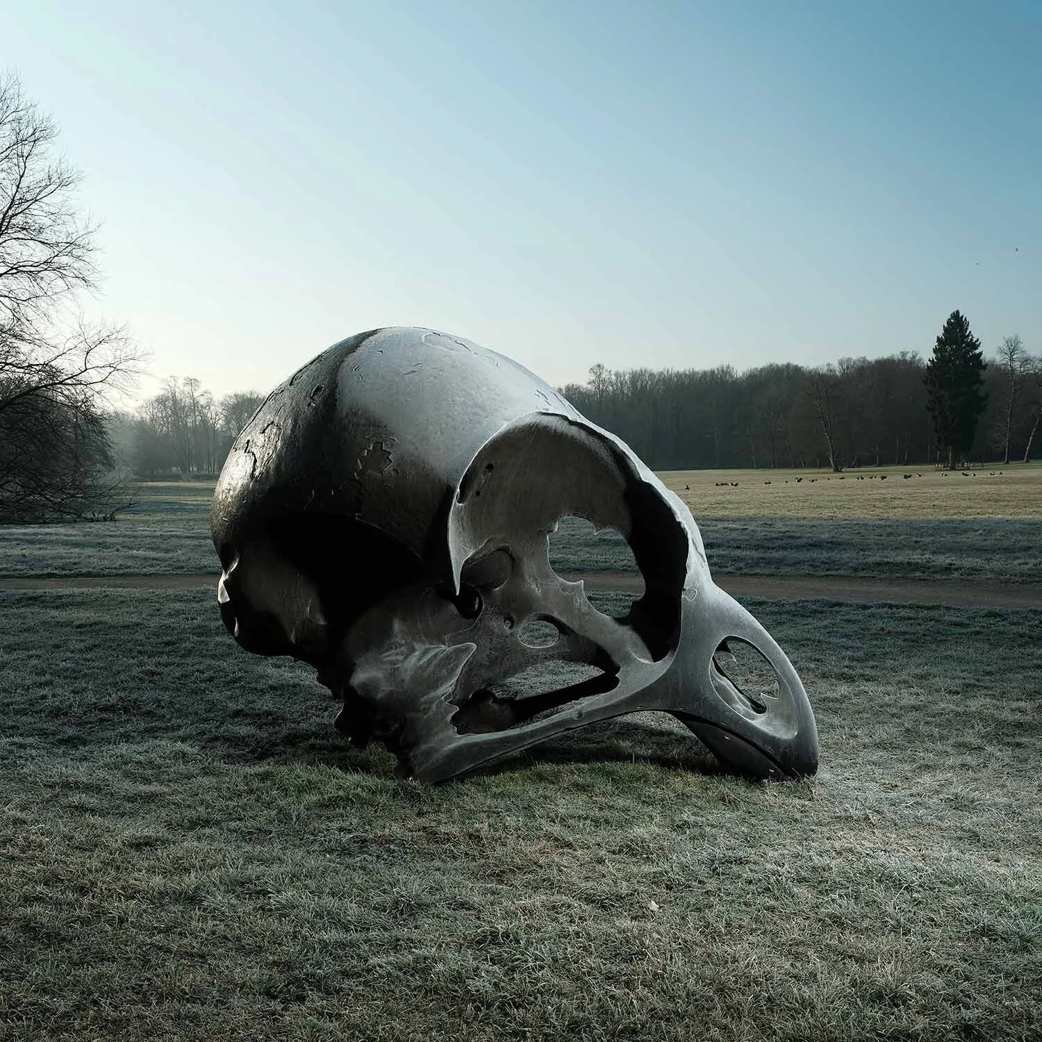 2013_QG_MEGALORNITHOS,2013,dinanderie,250x350x200cmpdtss.jpg