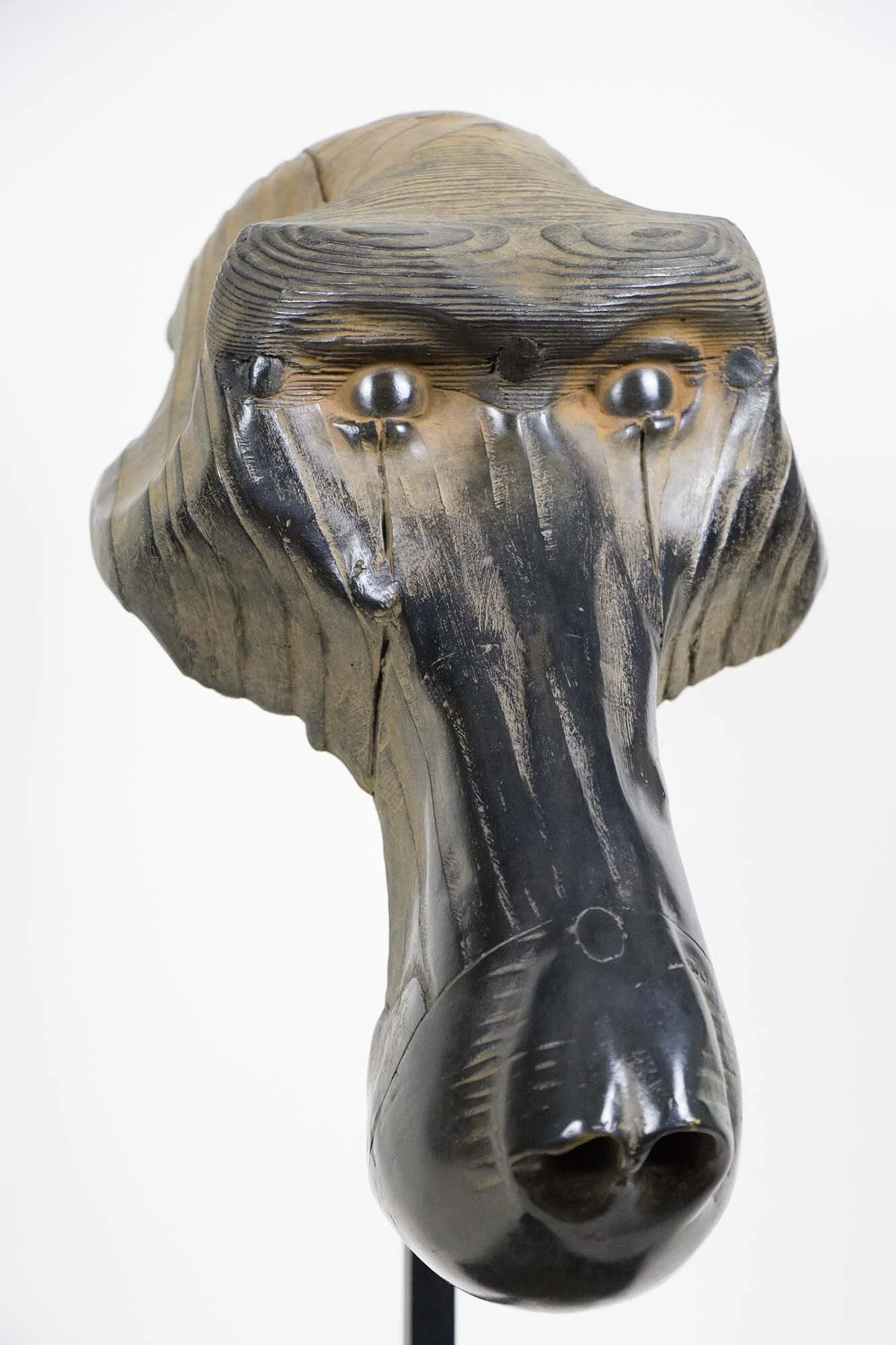 2017_QG_Tete_Mandril_l4.jpg