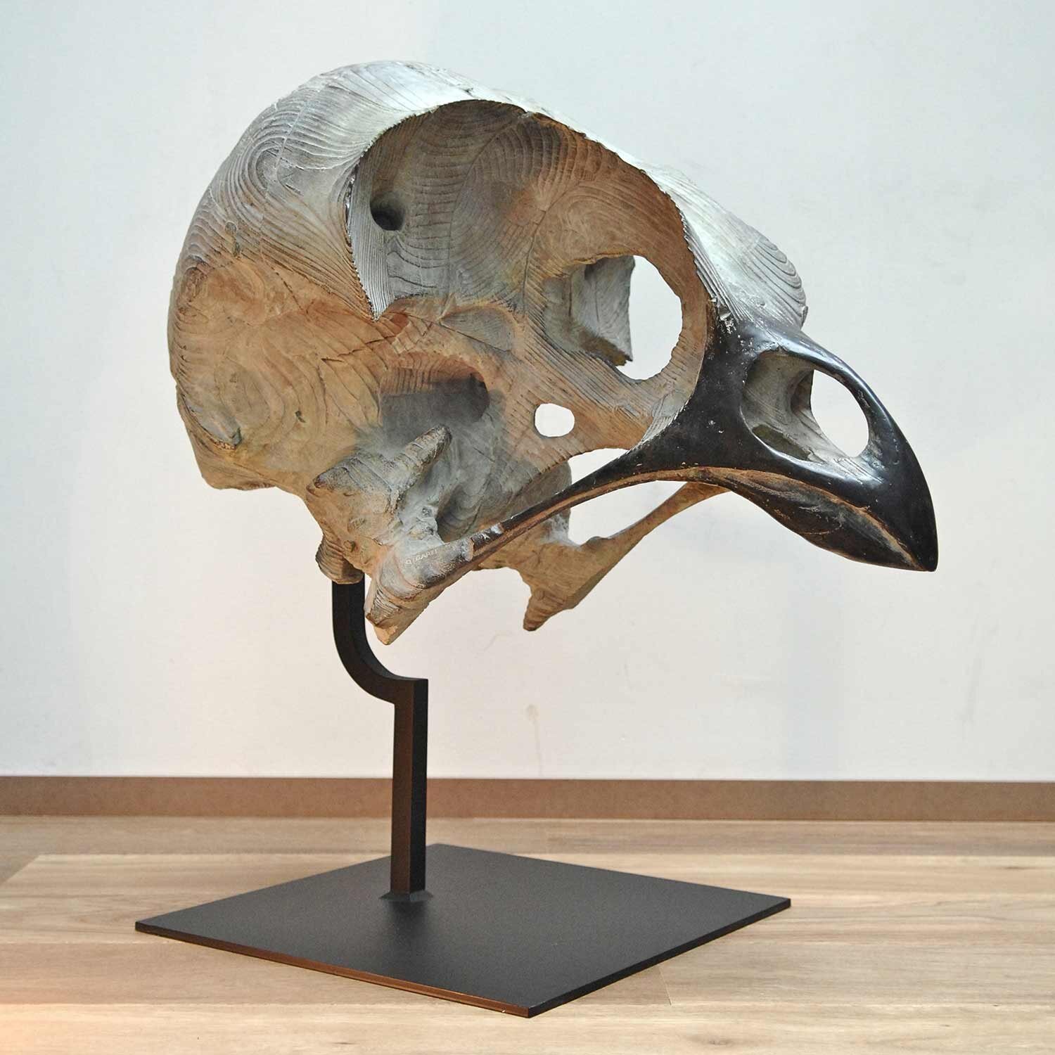2012-QG-z-Crâne-d'oiseau,bronze,h80x80x50cm,2012_web.jpg