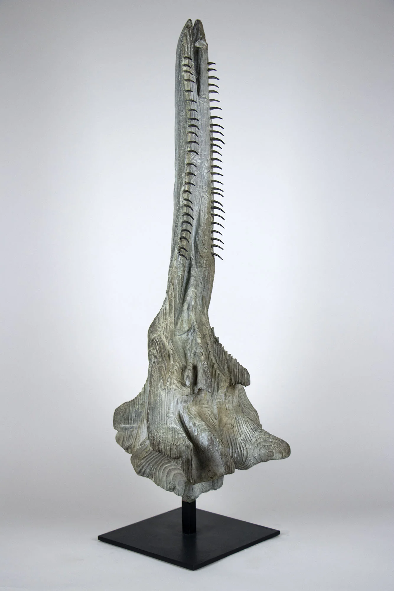 2011_QG_cranedauphin_l2a.jpg