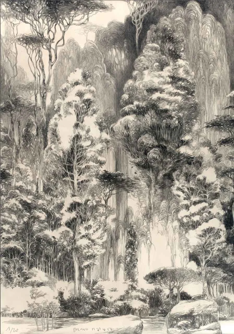 2021-BM-La-foret-vierge-au-rocher_web.jpg