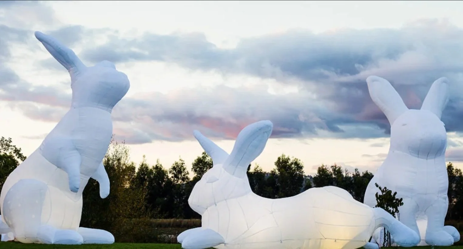 Three large white inflatable bunny sculptures outdoors at sunset, with trees and cloudy sky in the background.