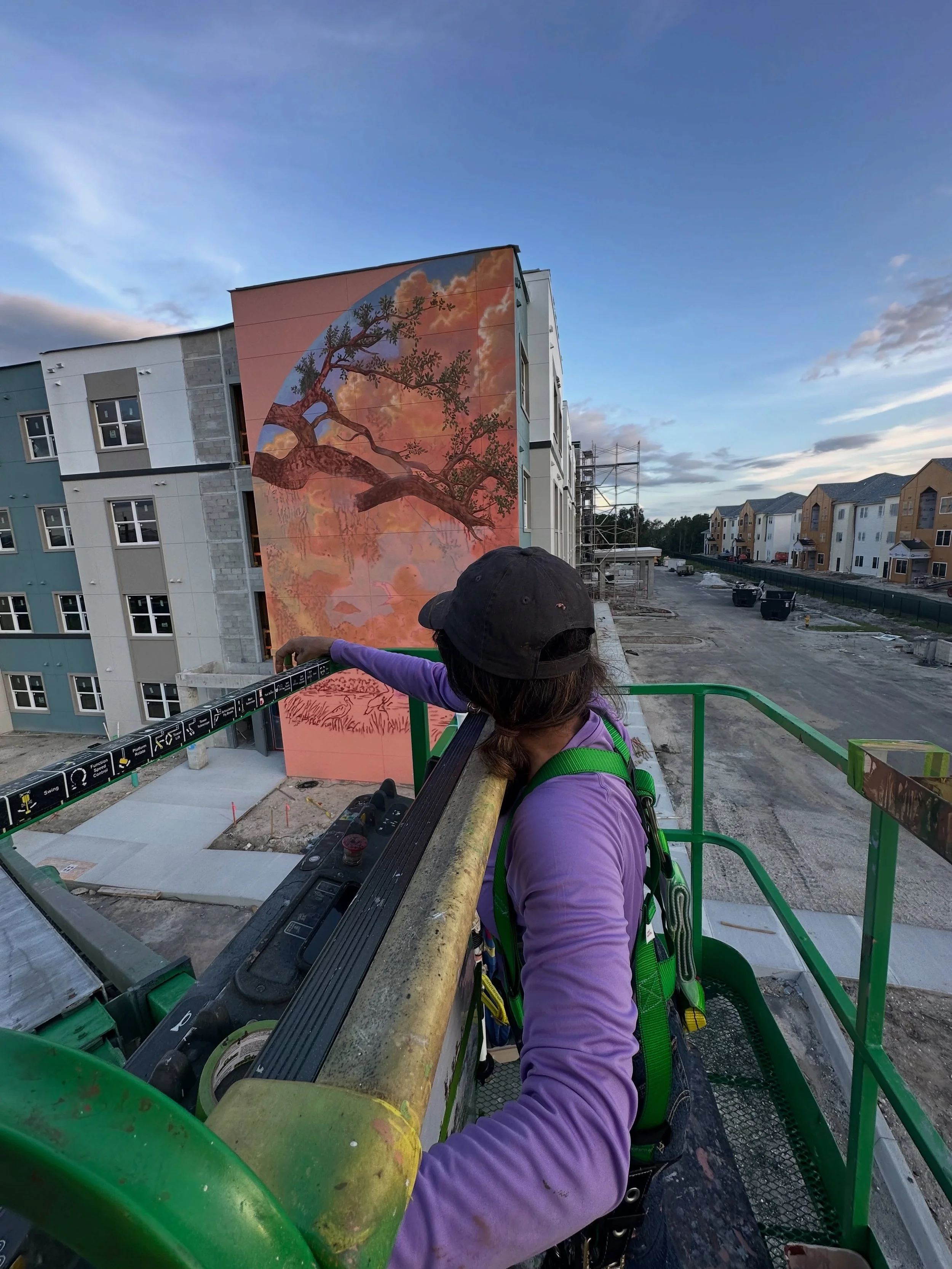 Some behind the scenes from the mural we are currently working on for @national_core out in Fort Myers with @vic_the_viper . The weather&rsquo;s been wild to navigate during this rainy season though we&rsquo;ve been having the time of our lives here 