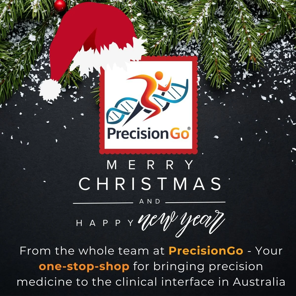 Merry Christmas from PrecisionGo!