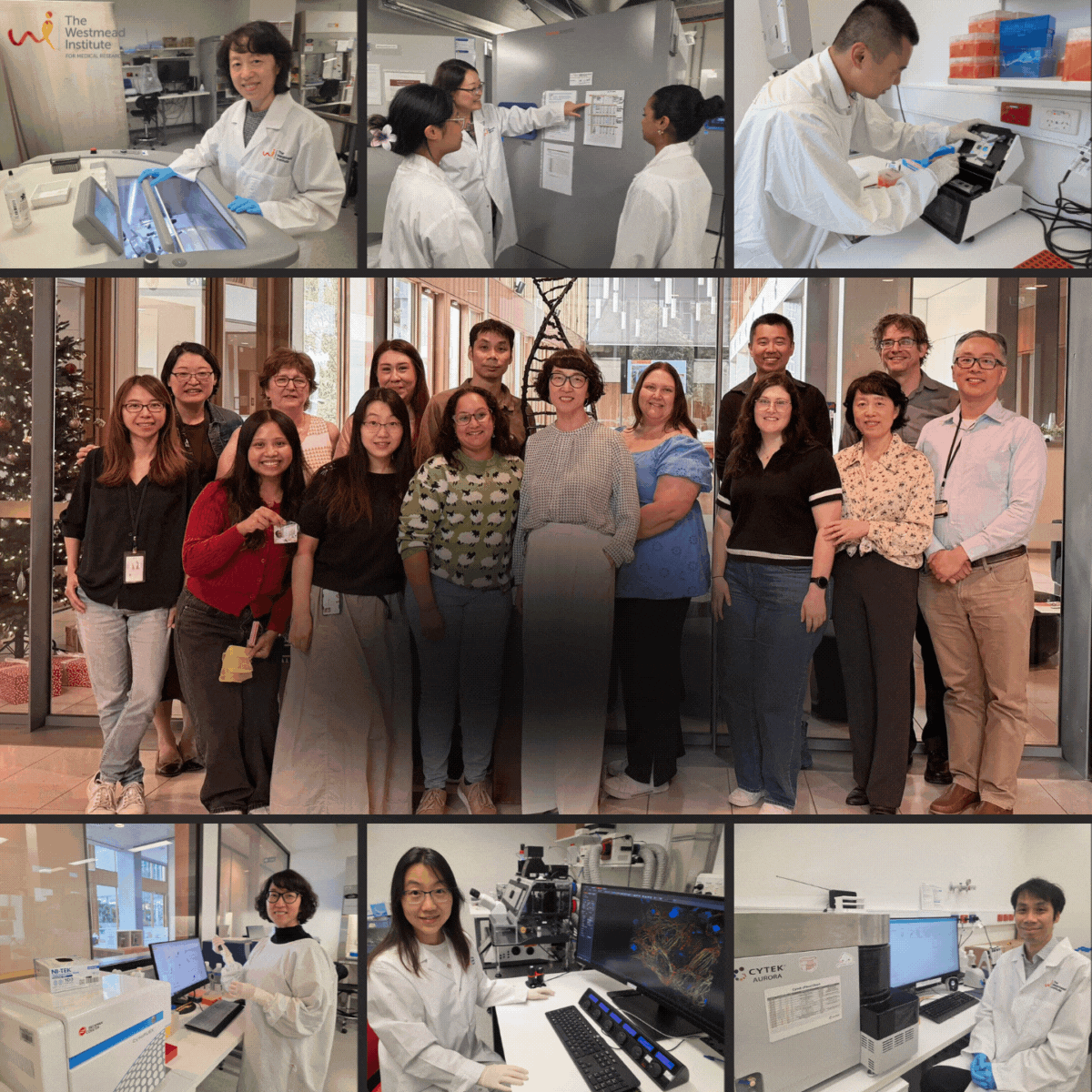 Merry Christmas from the WIMR Scientific Platforms team!