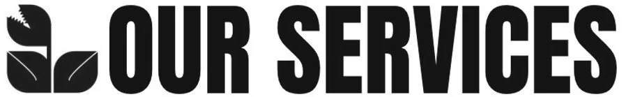 Text that reads 'Our Services' with a leaf and sprout logo on the left.