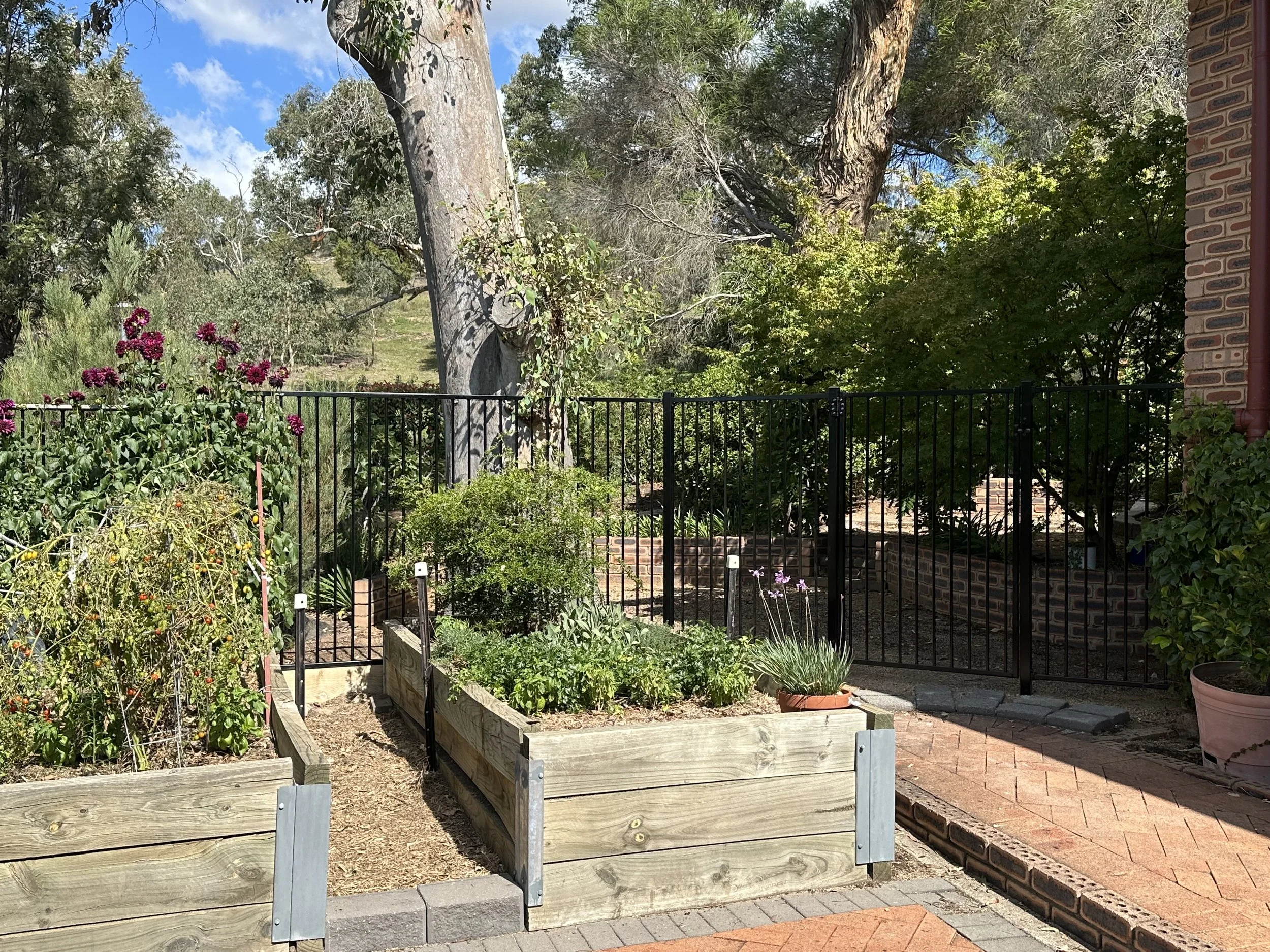 POOL FENCING
