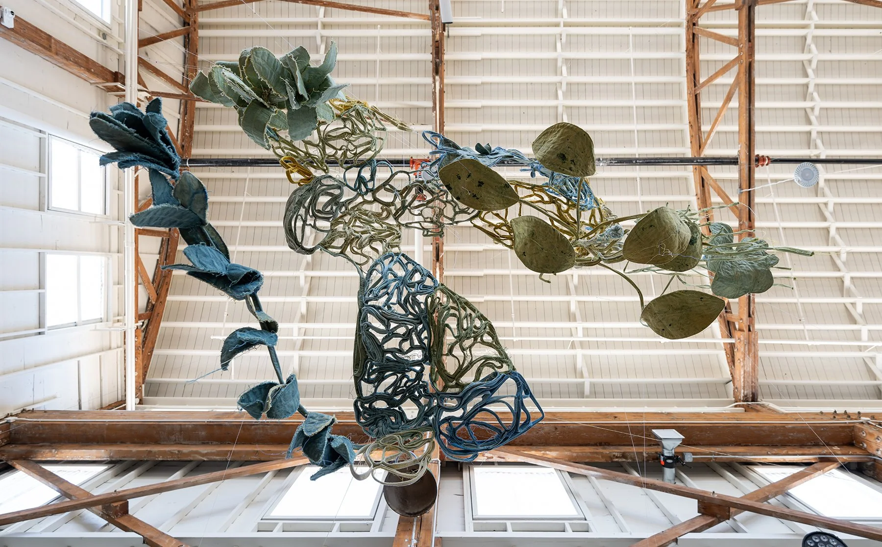 Terrain-2025-DZC_4159 small.jpg