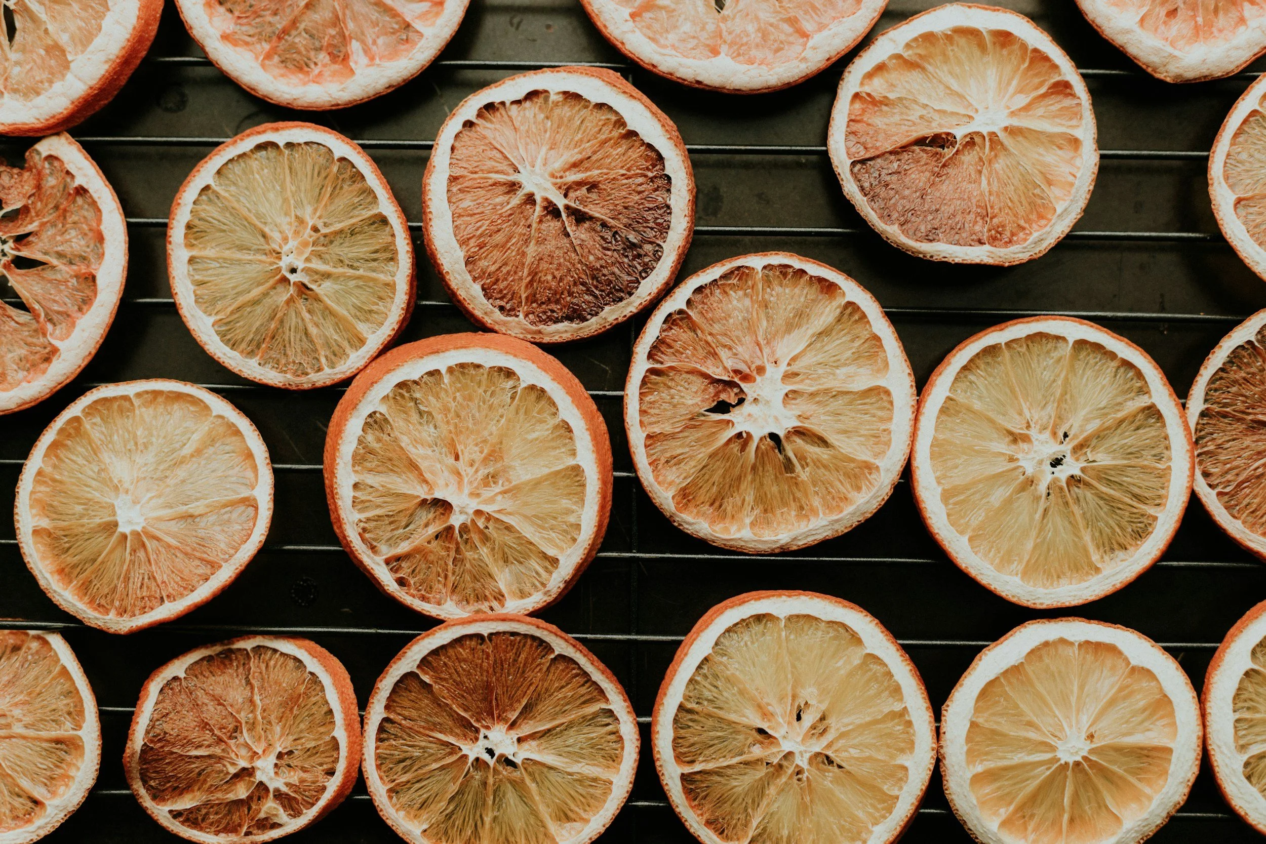 May Skill Share: Solar Food Dehydrator