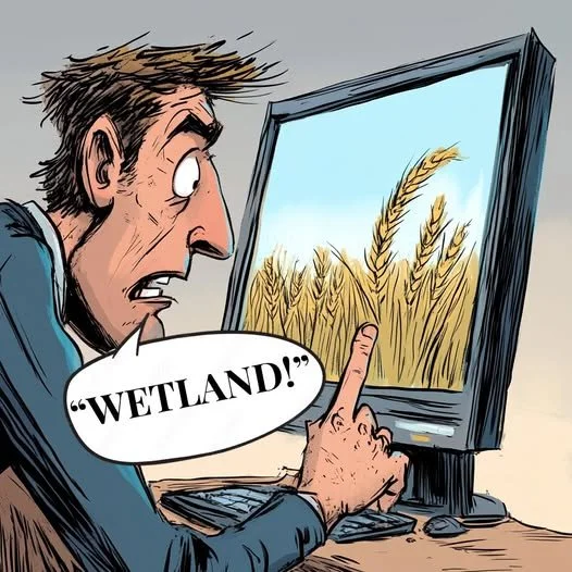 NSW Wetlands failure 