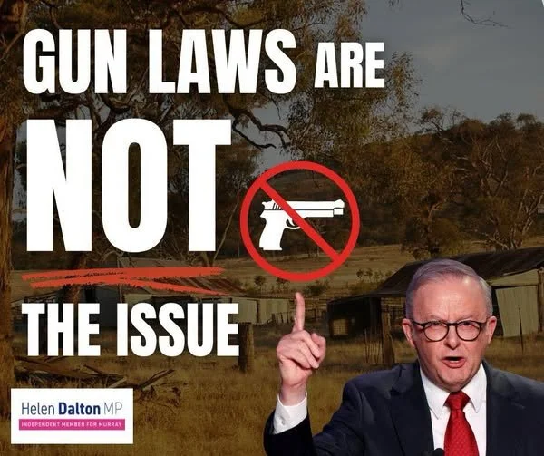 Gun Laws are NOT the issue.