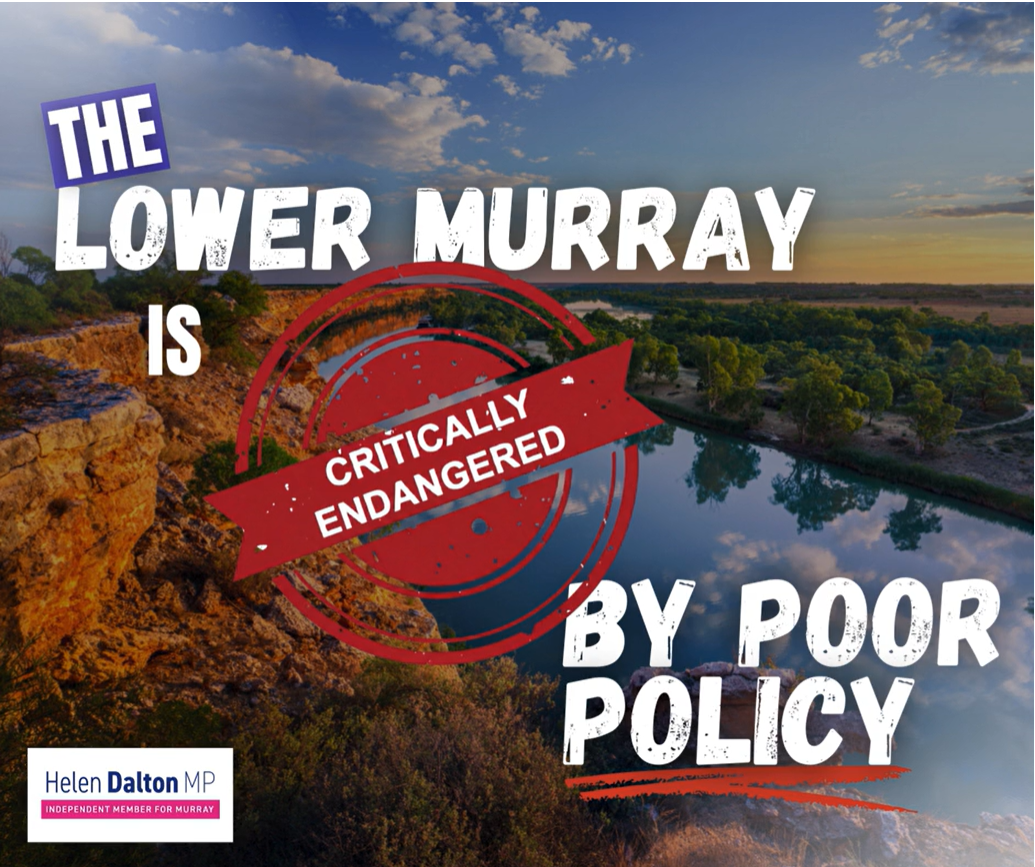 LOWER BASIN CRITICALLY ENDAGERED BY POOR POLICY