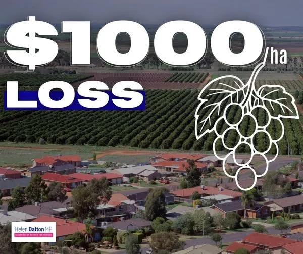 $1000 per hectare loss 