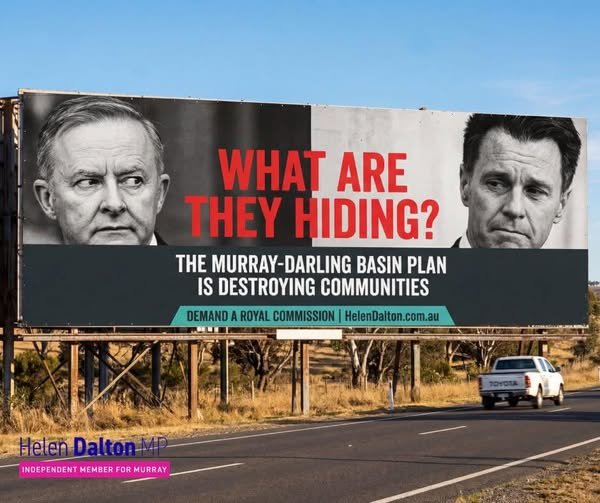 WHAT ARE THEY HIDING?