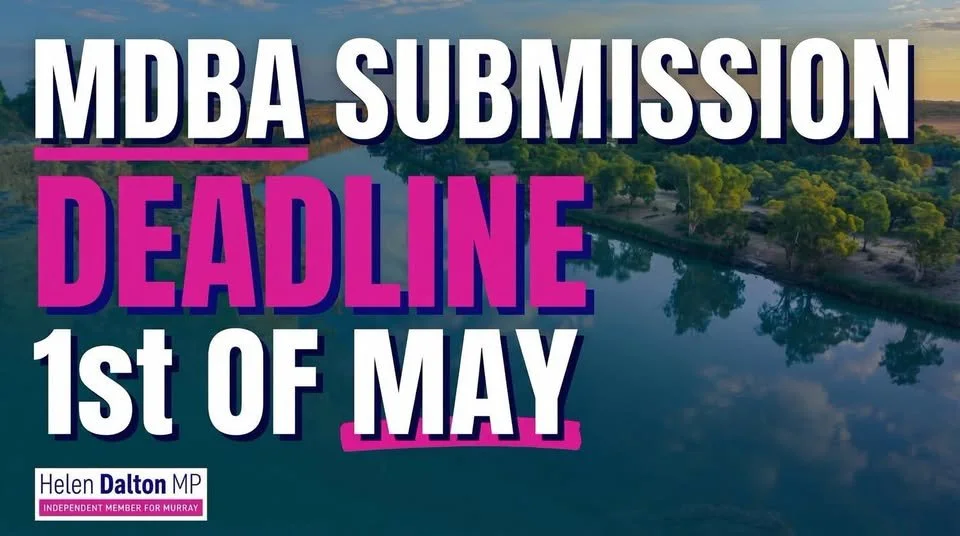 MDBA Review