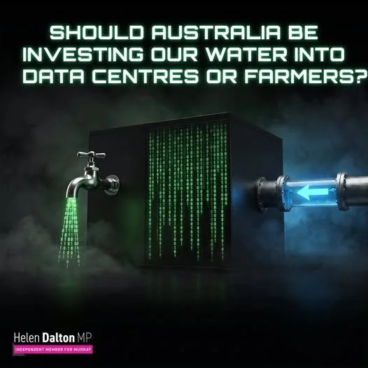FARMERS OR AI?