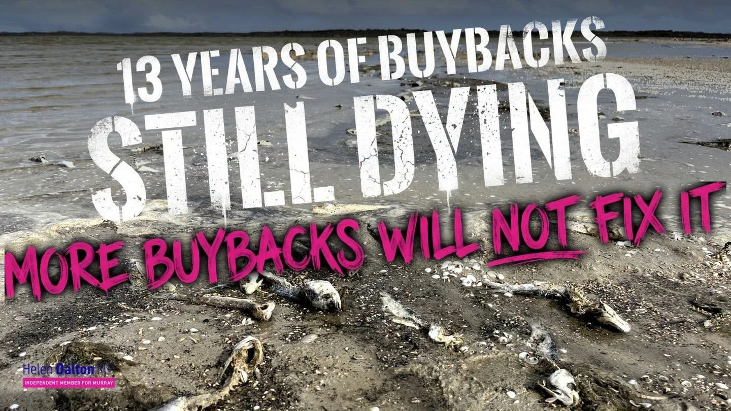 200 TONNES OF DEAD FISH AND 13 YEARS OF BUYBACKS