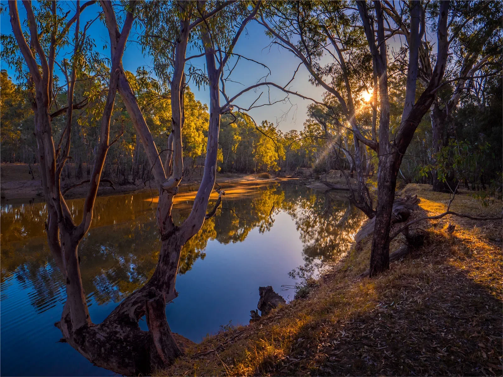 Murray-River-Corowa-Australia-New-South-Wales.webp