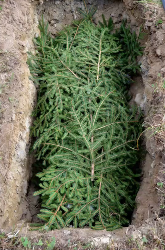 After Death Care and Green Burial Information Session