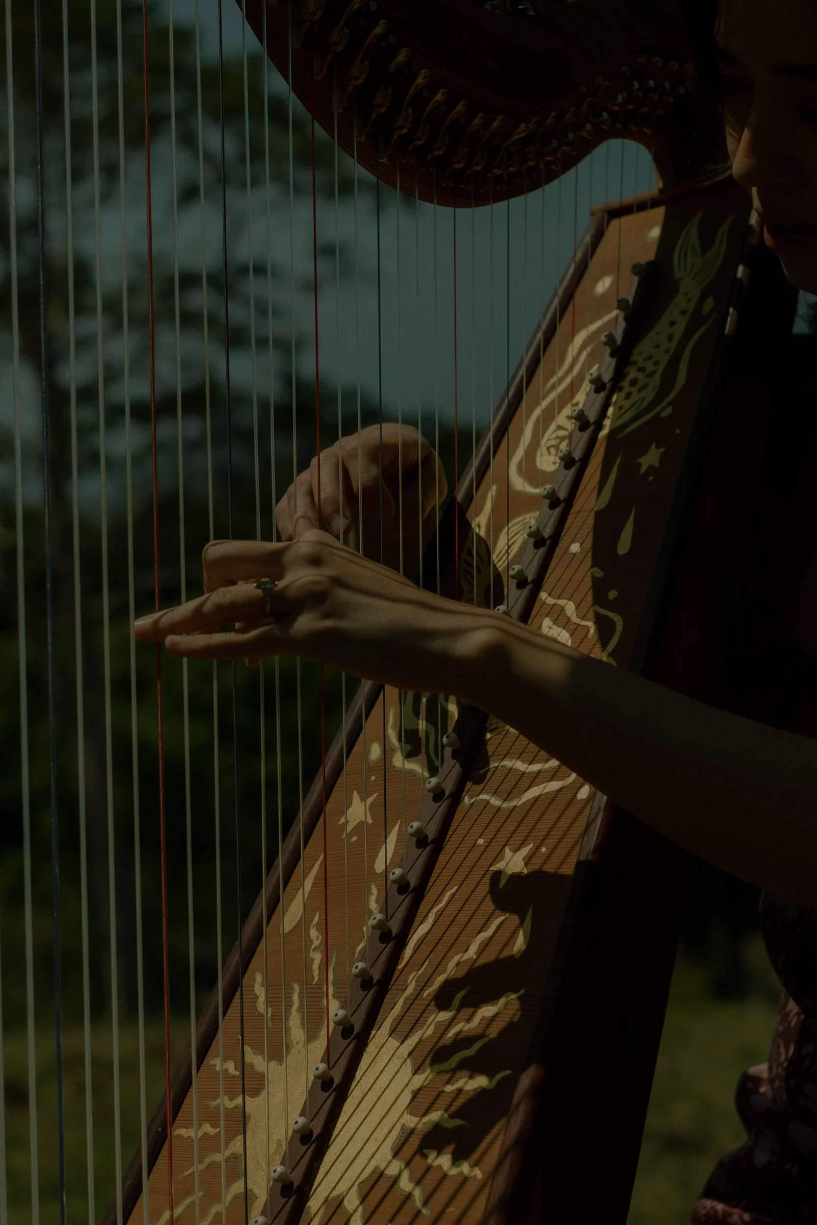 Edition 02. Lisa Kelly