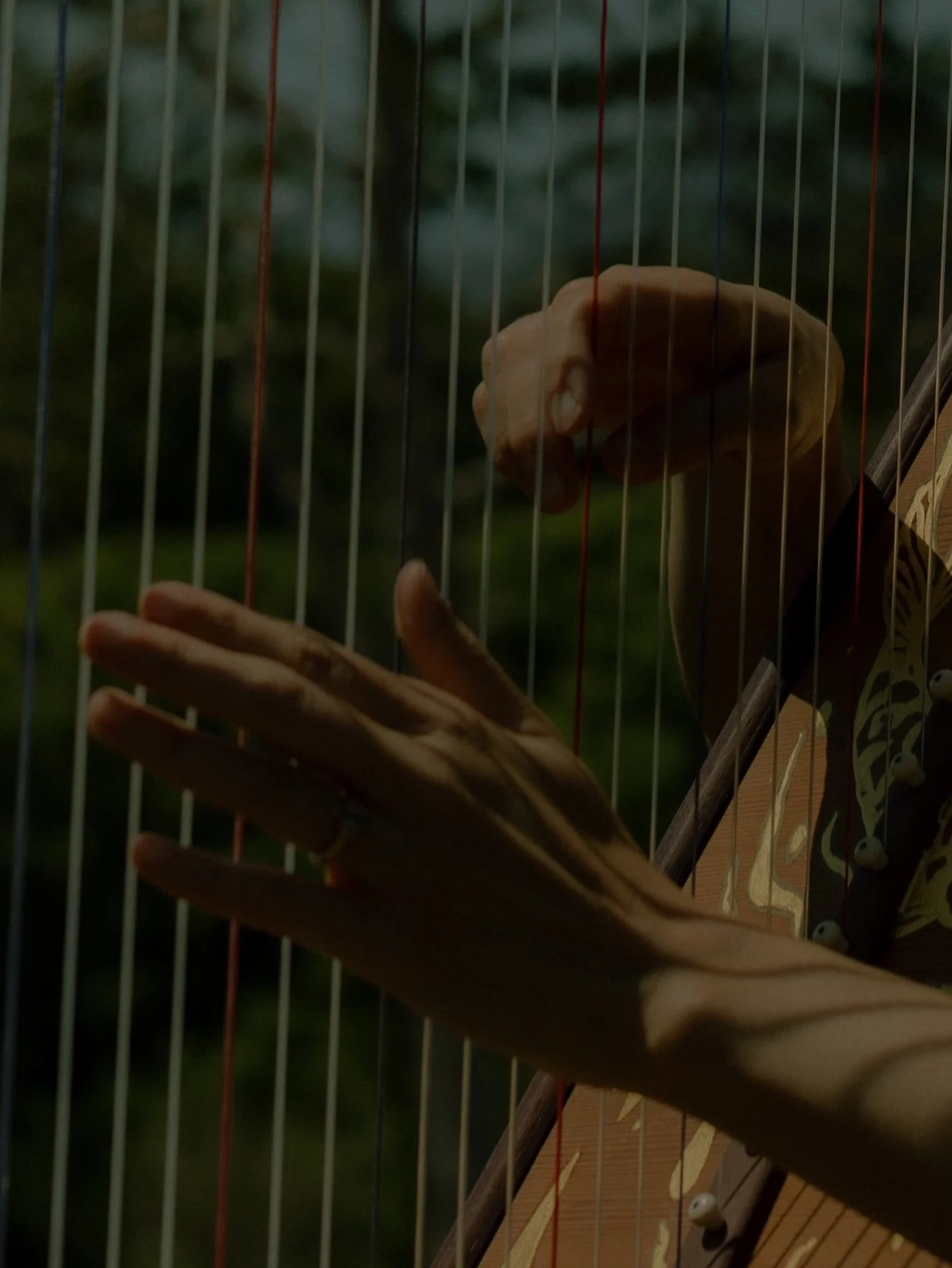 Edition 02. is now live on the journal 💌

Performing as Lake Kelly, Lisa is a talented artist and musician who has mastered various instruments, although it is her ability to play the harp that is truly captivating. Lisa exudes a certain otherworldl