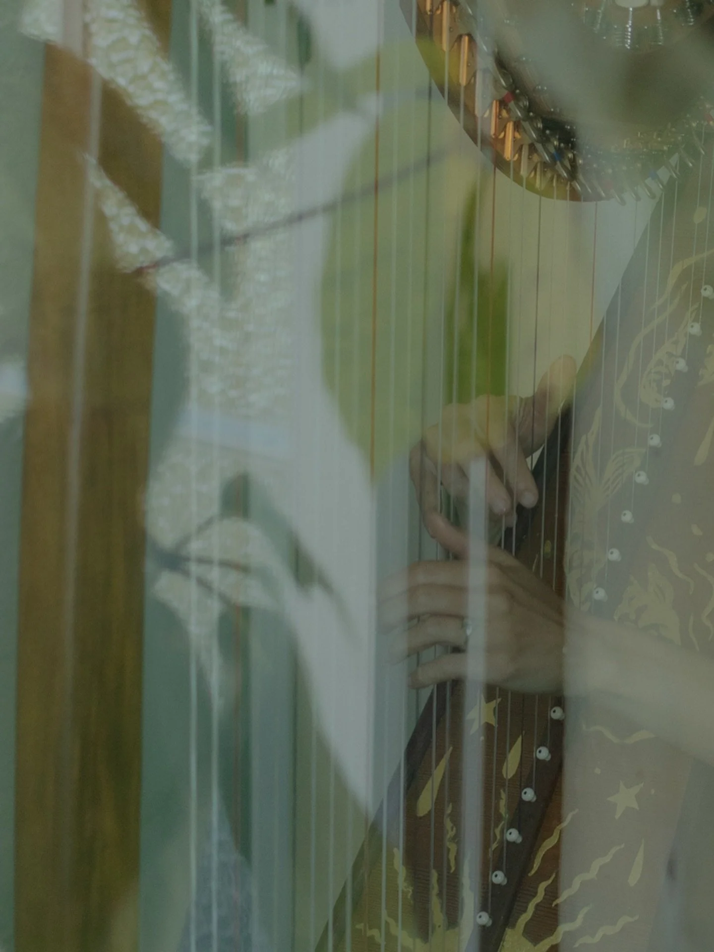 Details, and textures. Of two incredible creative beings we have had the pleasure of talking to, and documenting as a part of this project. 

Both full articles are live on the journal, link in bio 🕊️

@harleyhamiltonstudio 
@lake__kelly