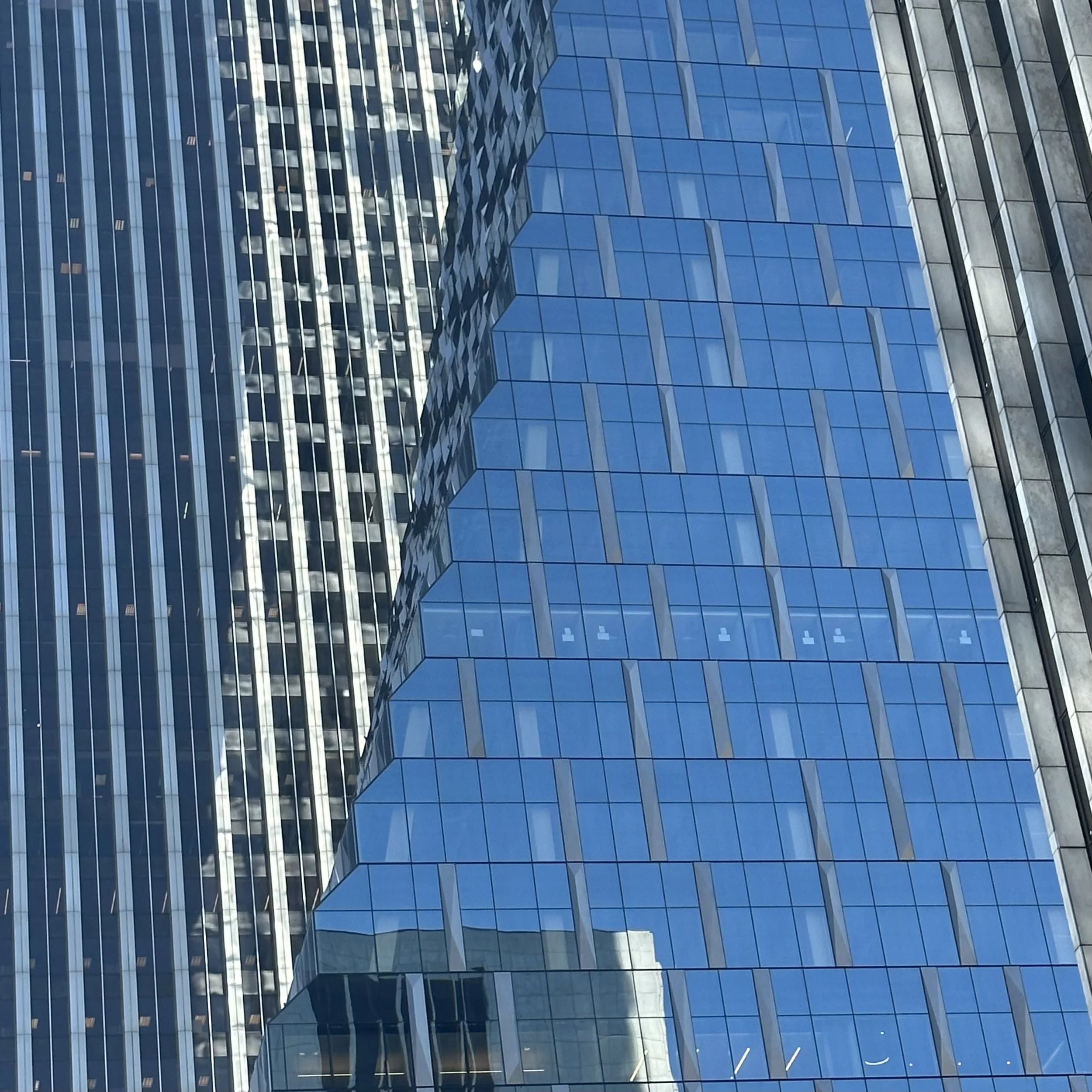image9.jpeg