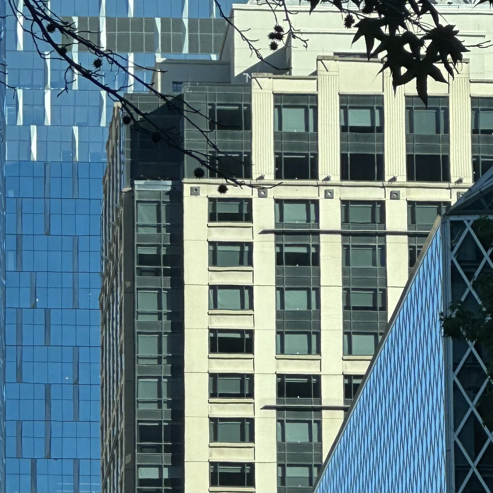image8.jpeg