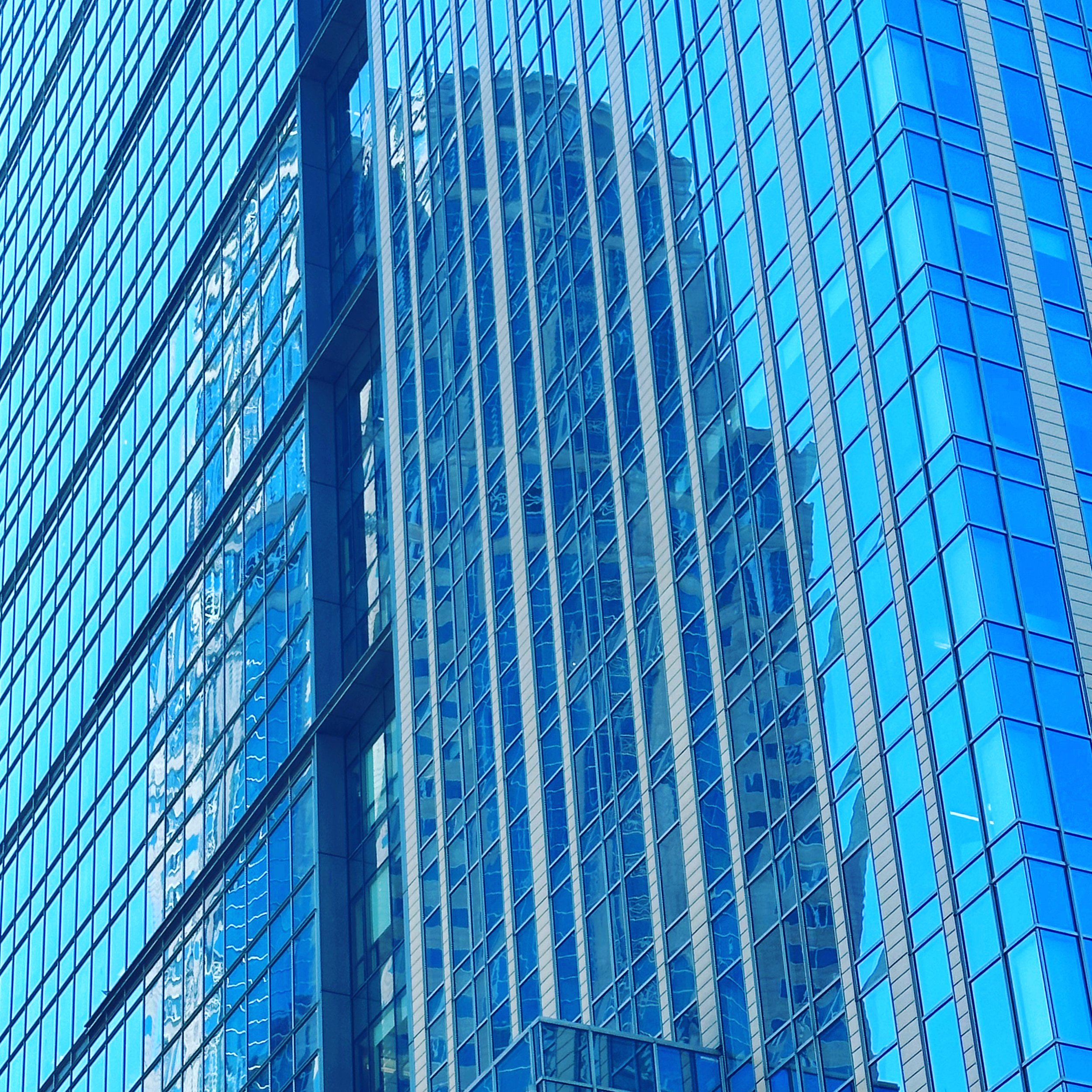 image7.jpeg
