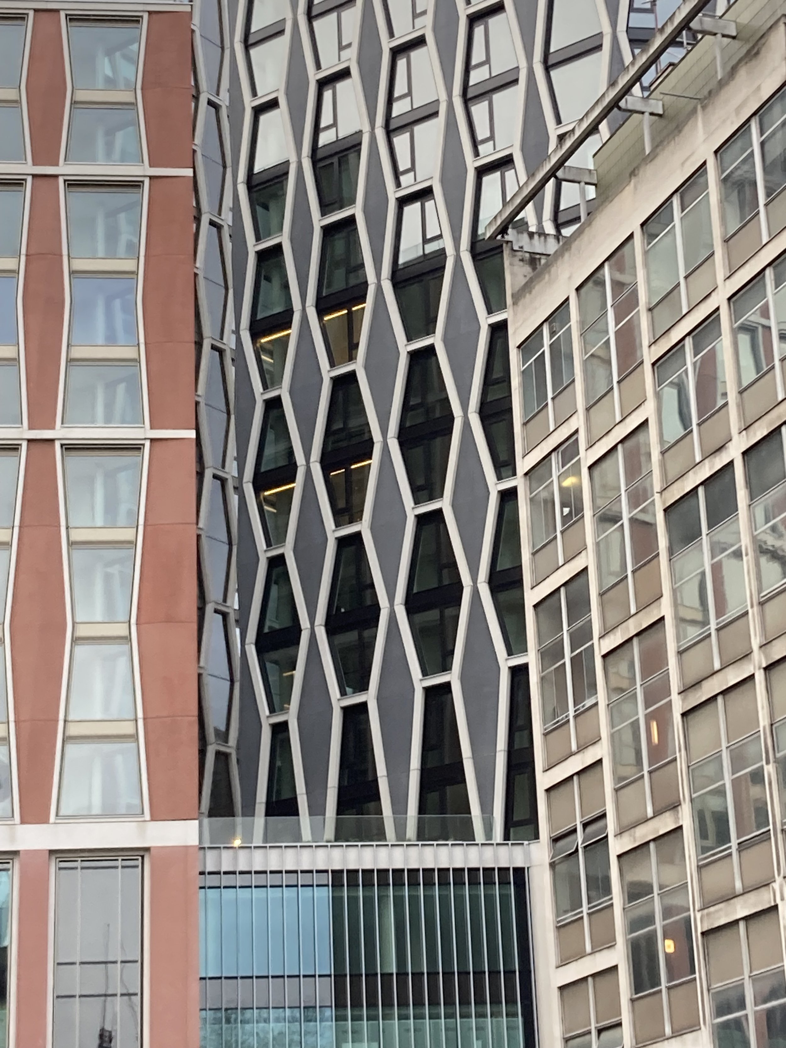 image5.jpeg