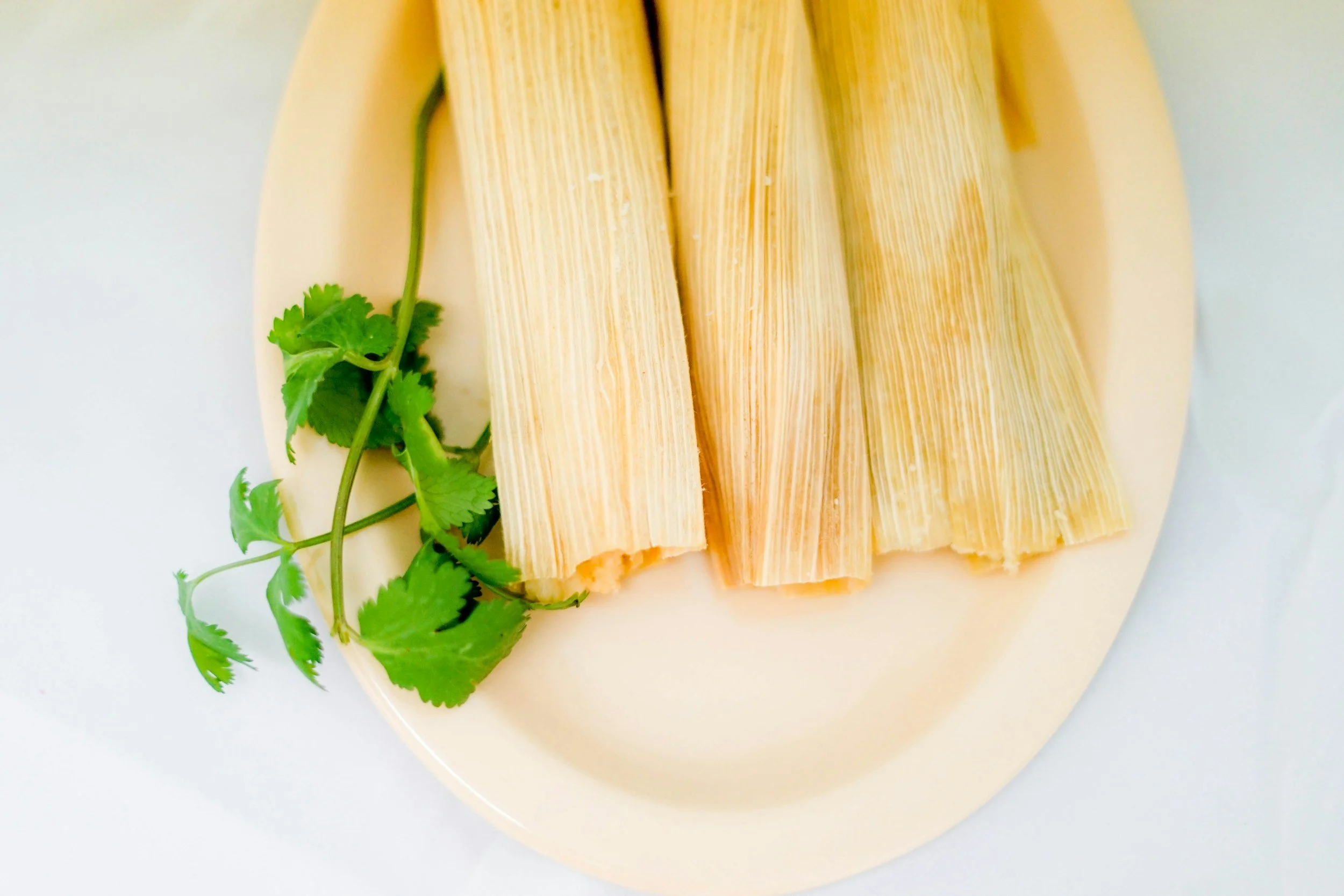 Tamale Tuesday