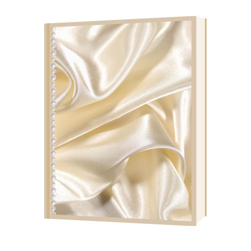 The Silk Notebook