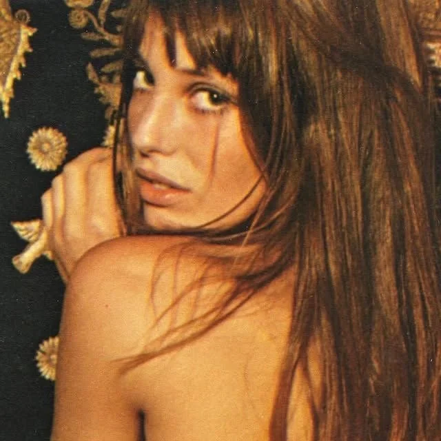 The Birkin Problem