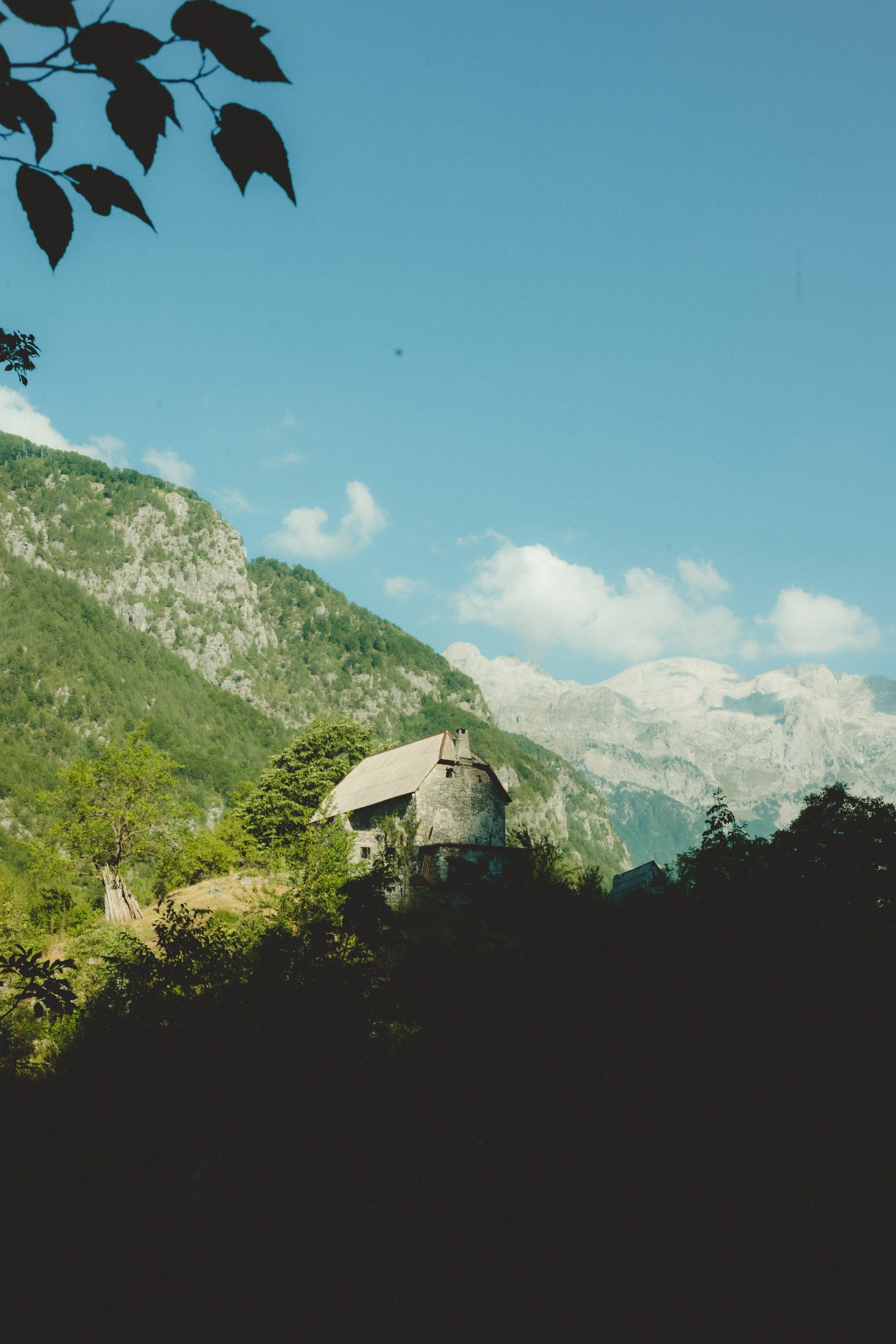 _MG_6866.jpg